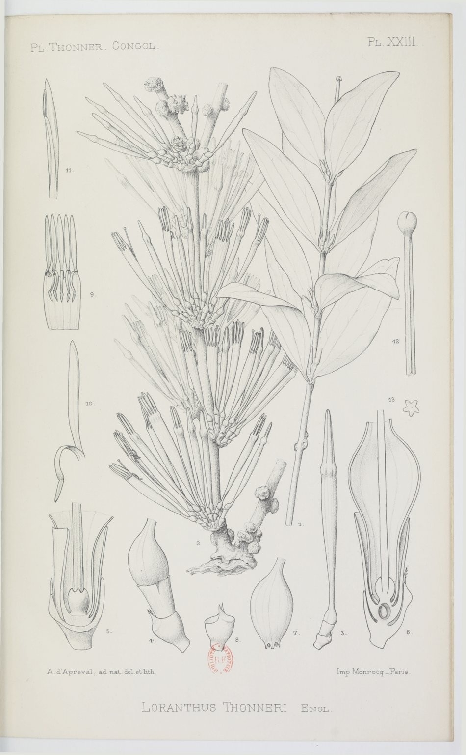 no full size  illustration available (3a)