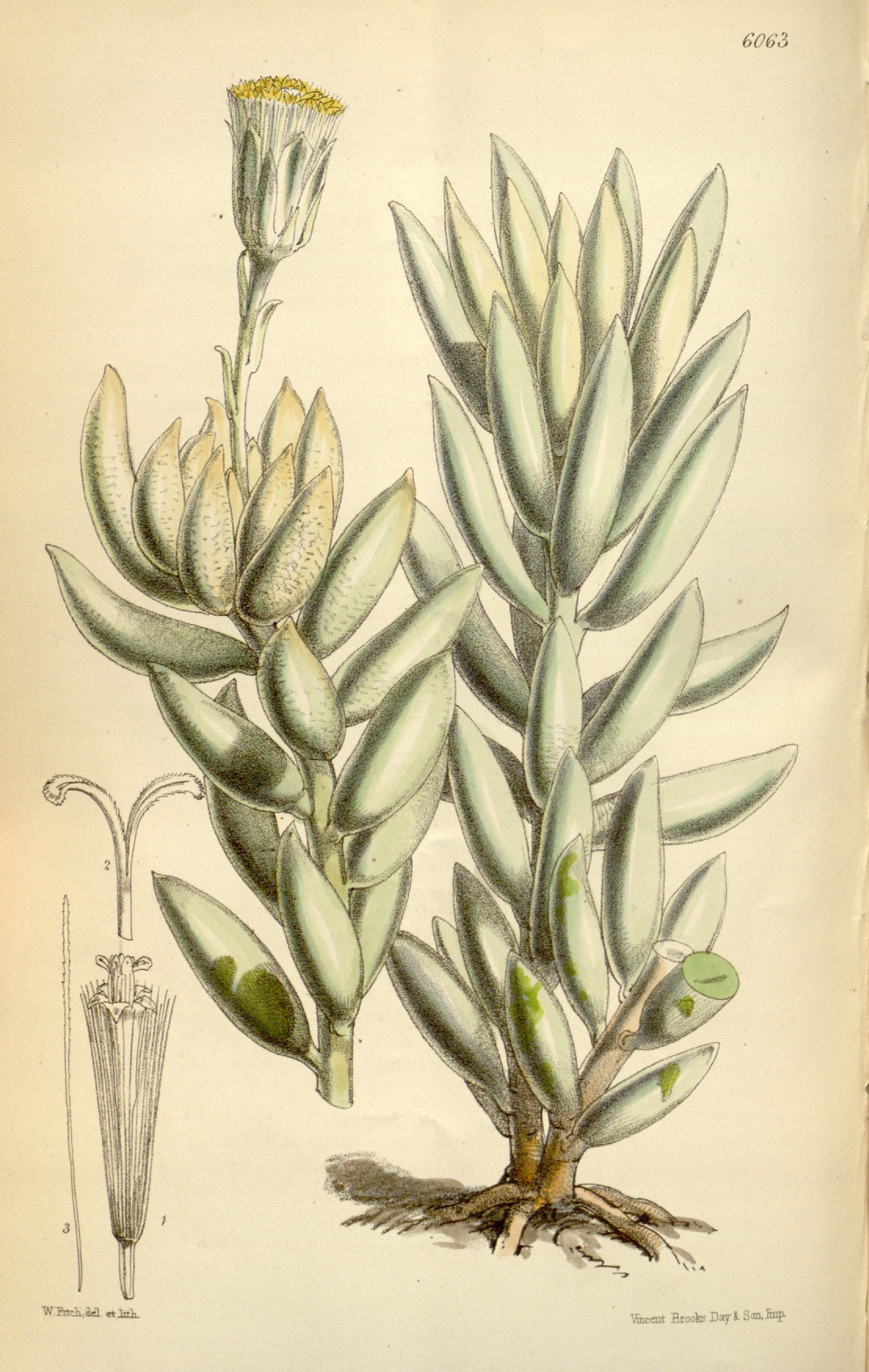 no full size  illustration available (3a)