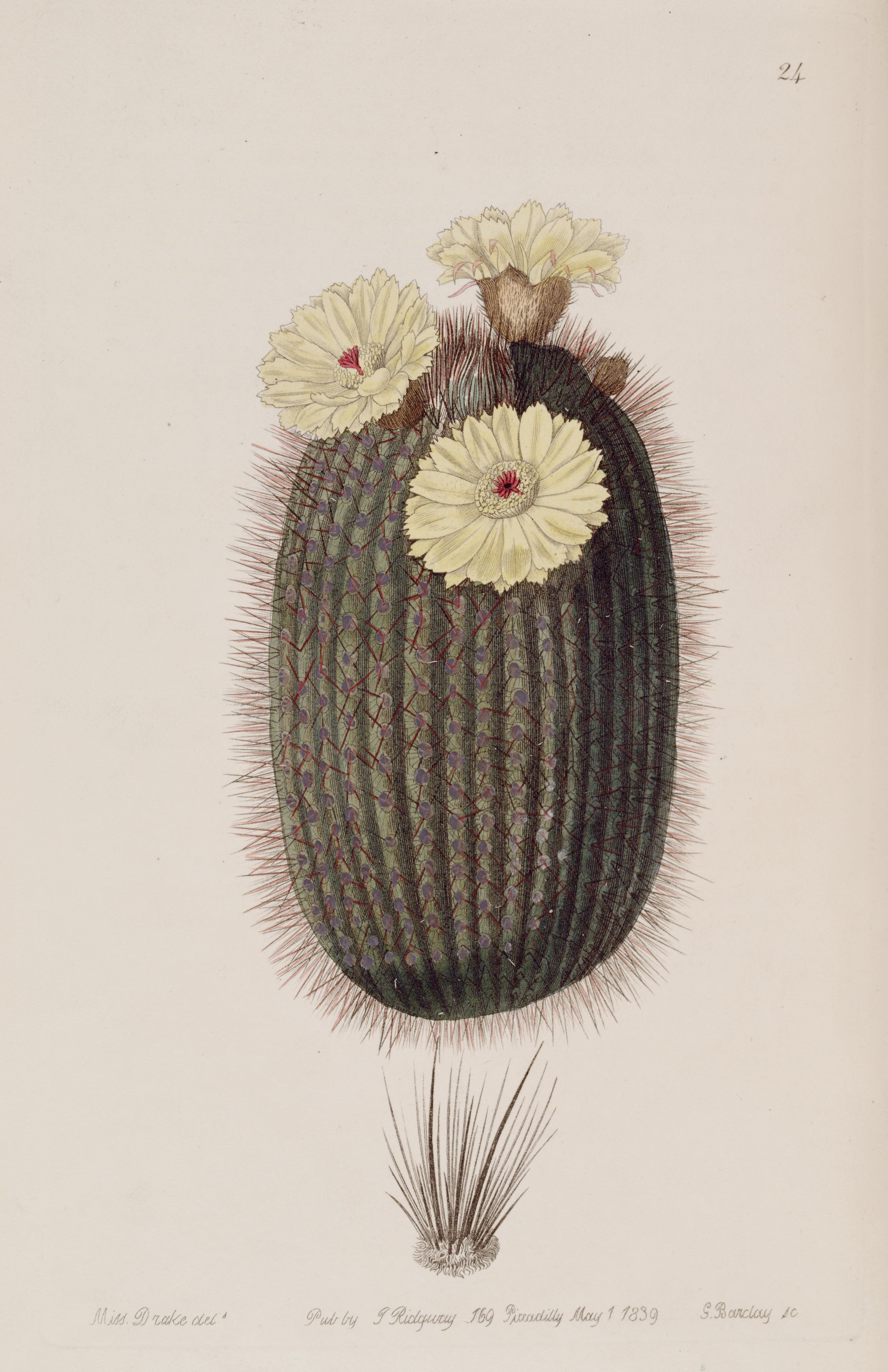 no full size  illustration available (3a)