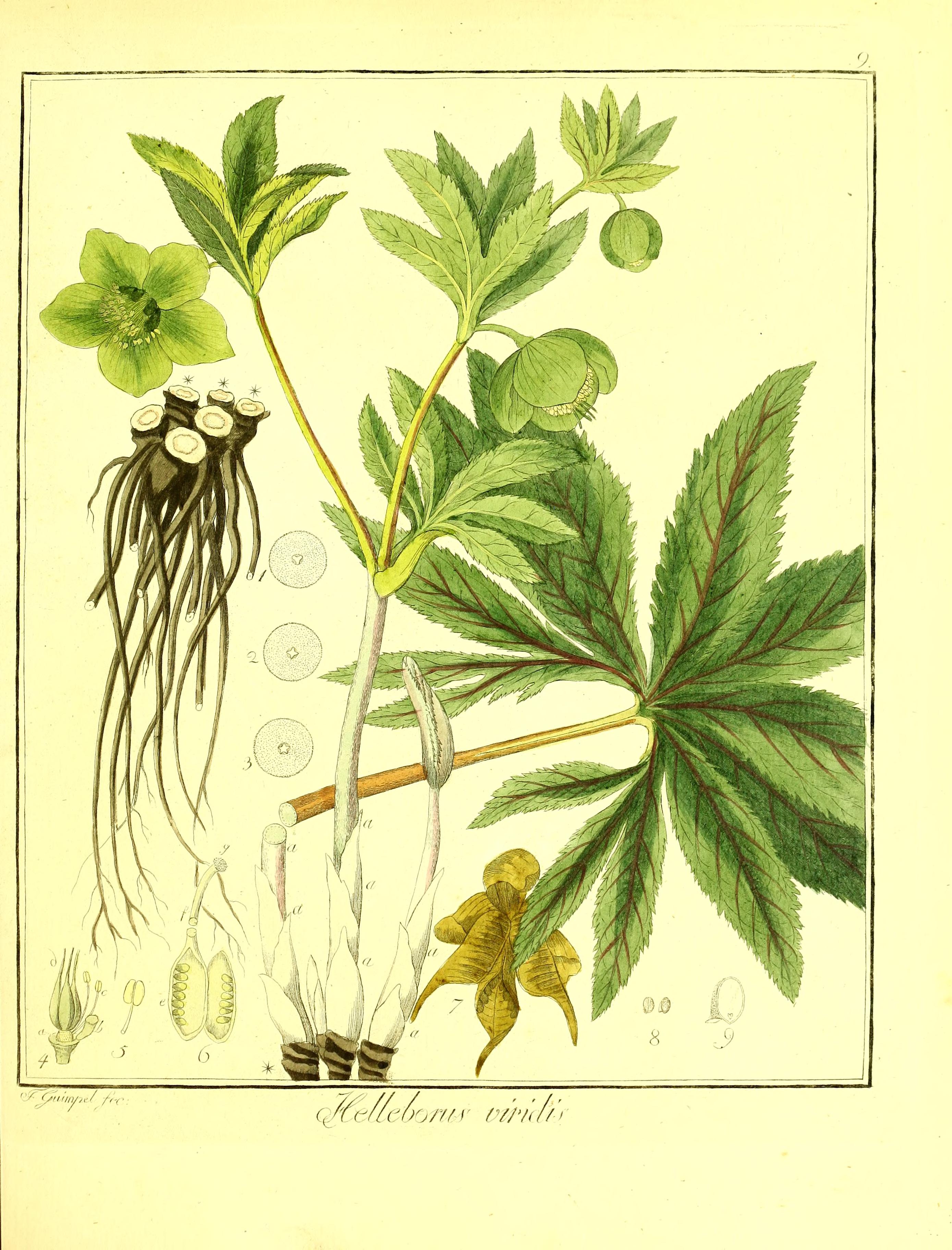 no full size  illustration available (3a)