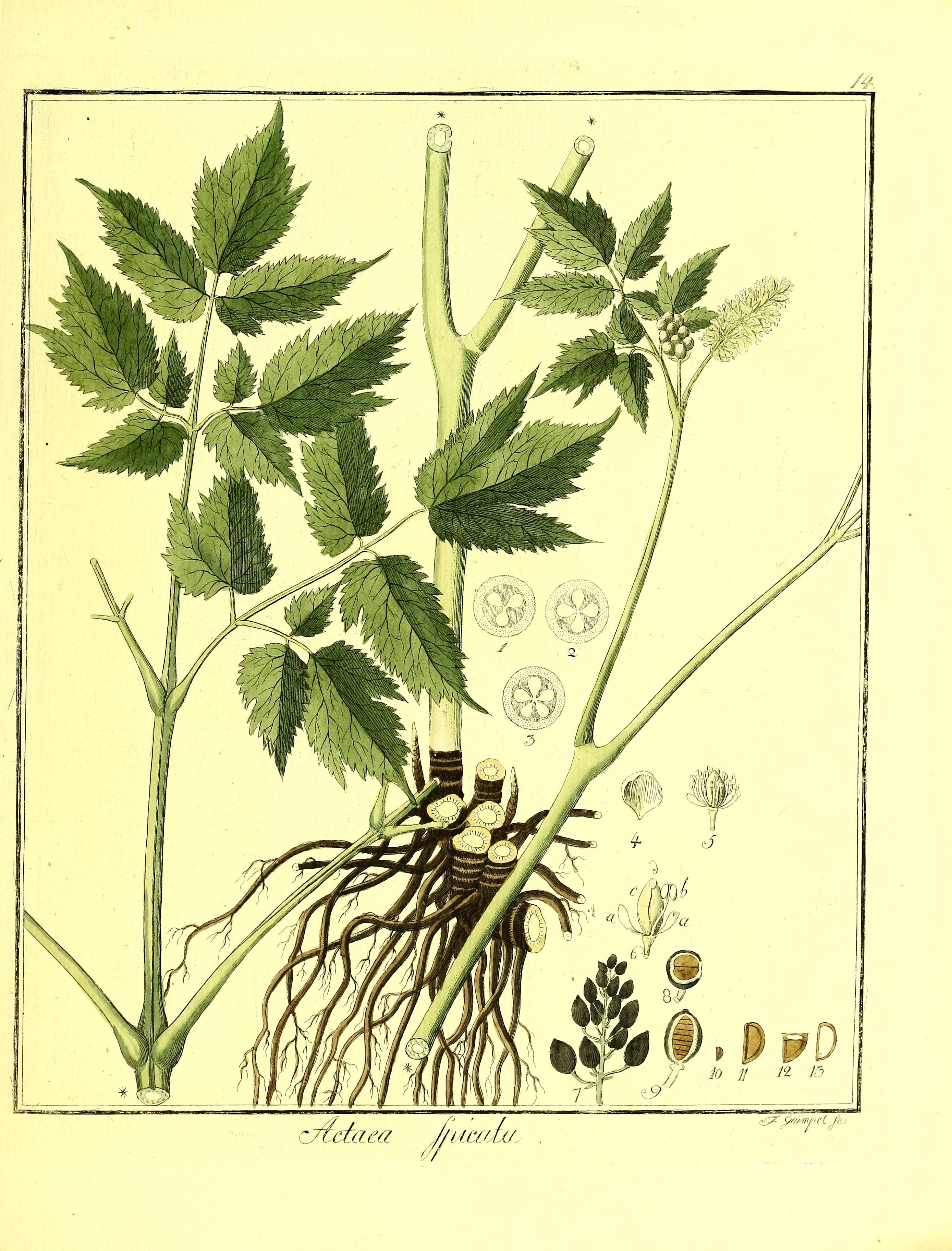 no full size  illustration available (3a)