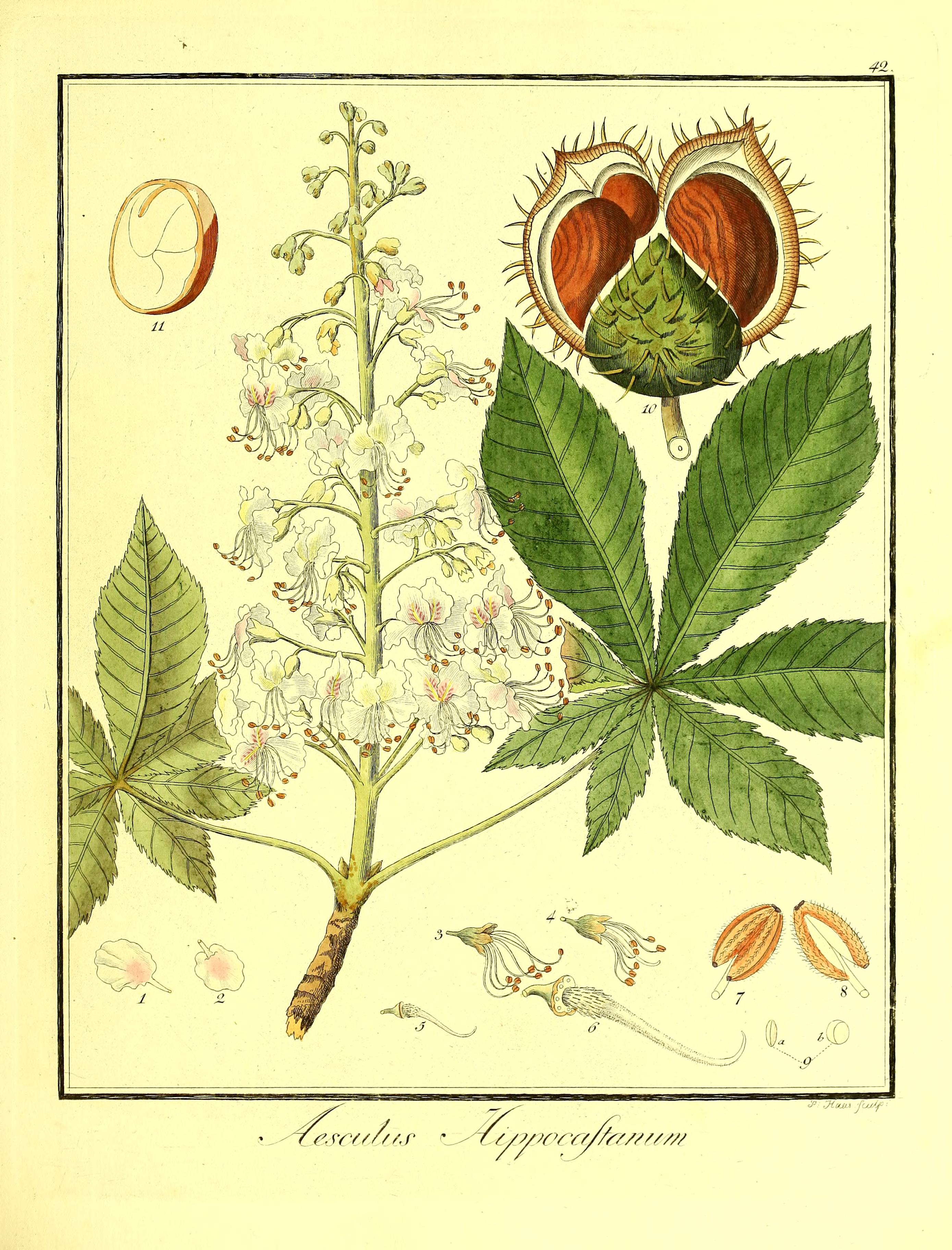 no full size  illustration available (3a)