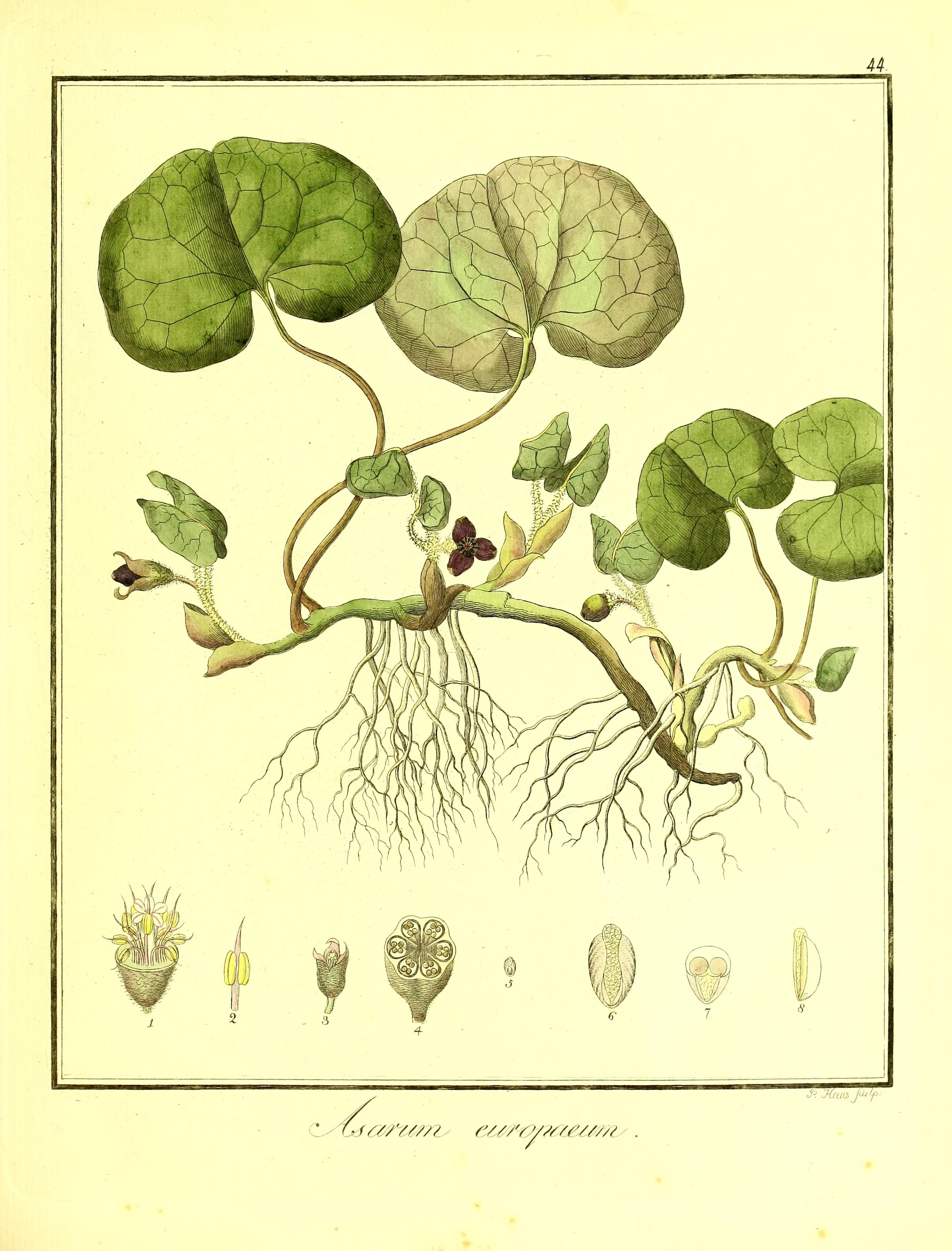 no full size  illustration available (3a)