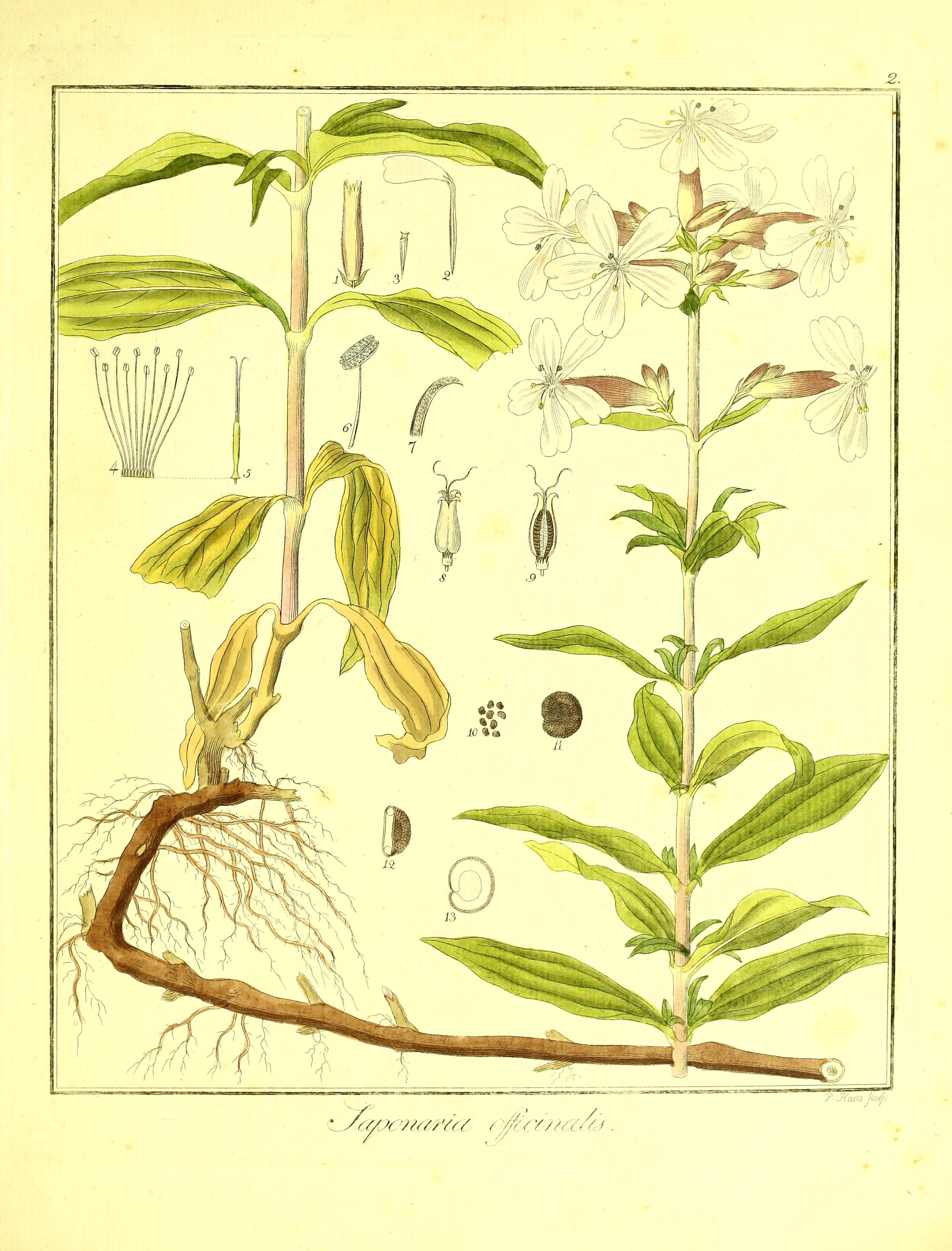 no full size  illustration available (3a)