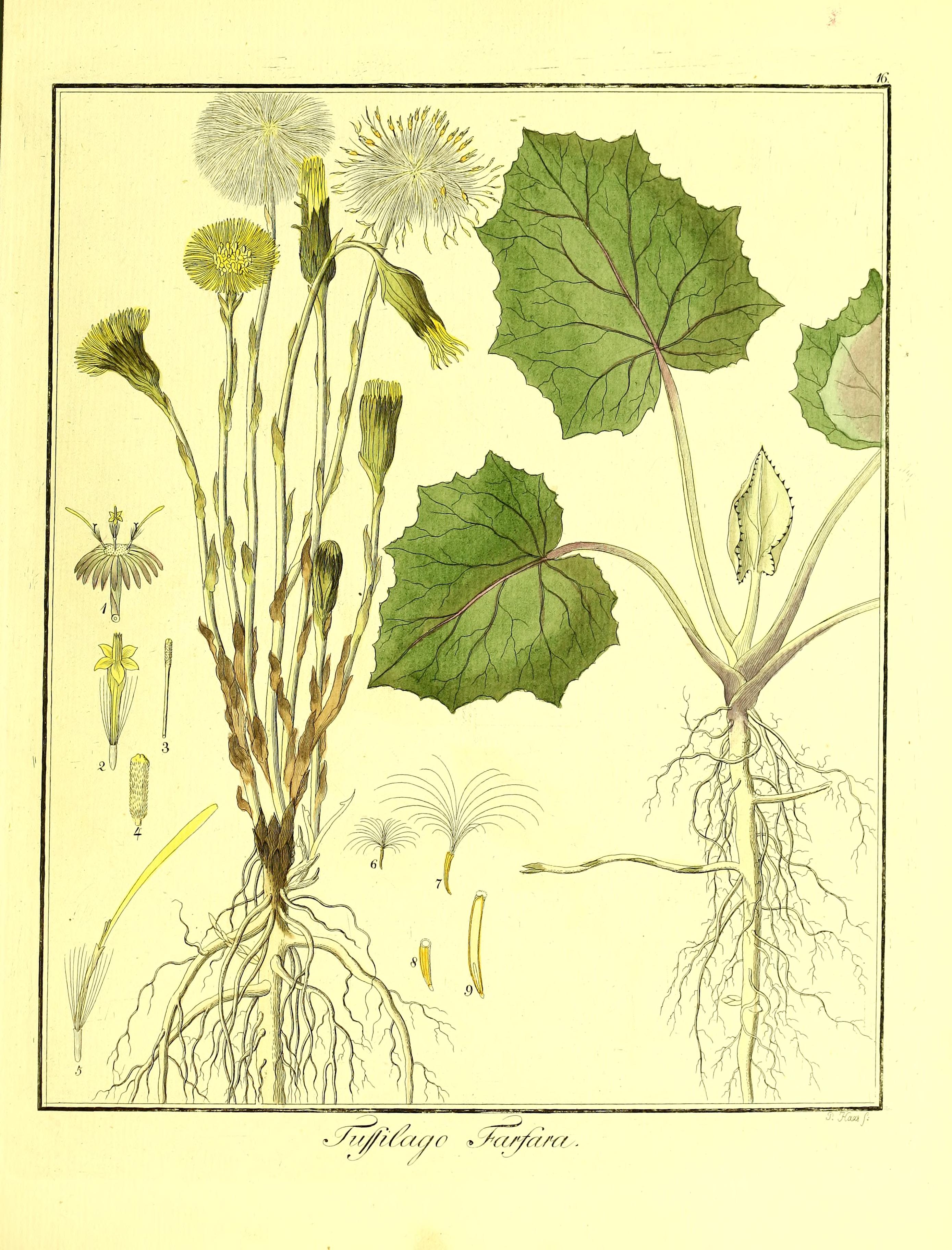 no full size  illustration available (3a)