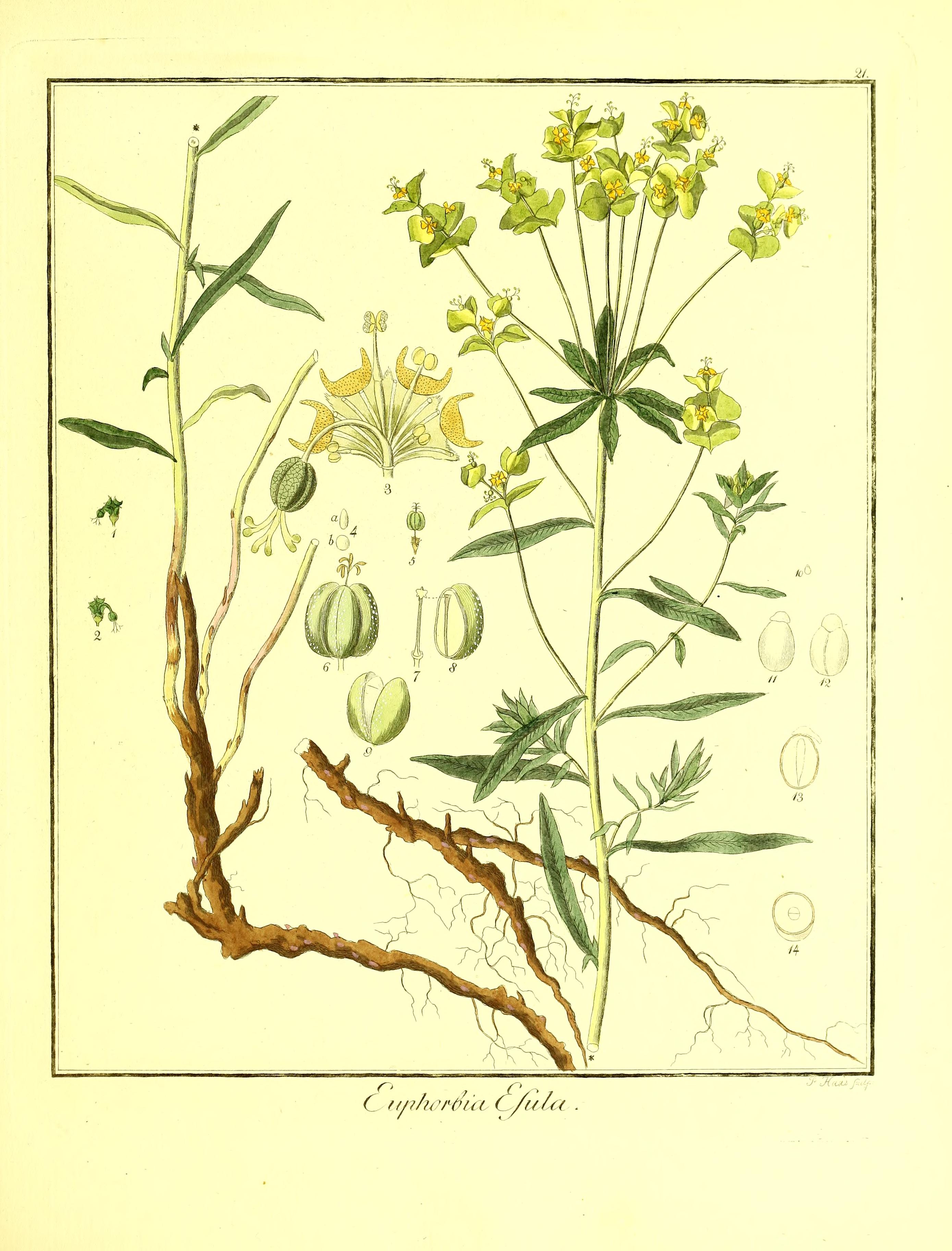 no full size  illustration available (3a)