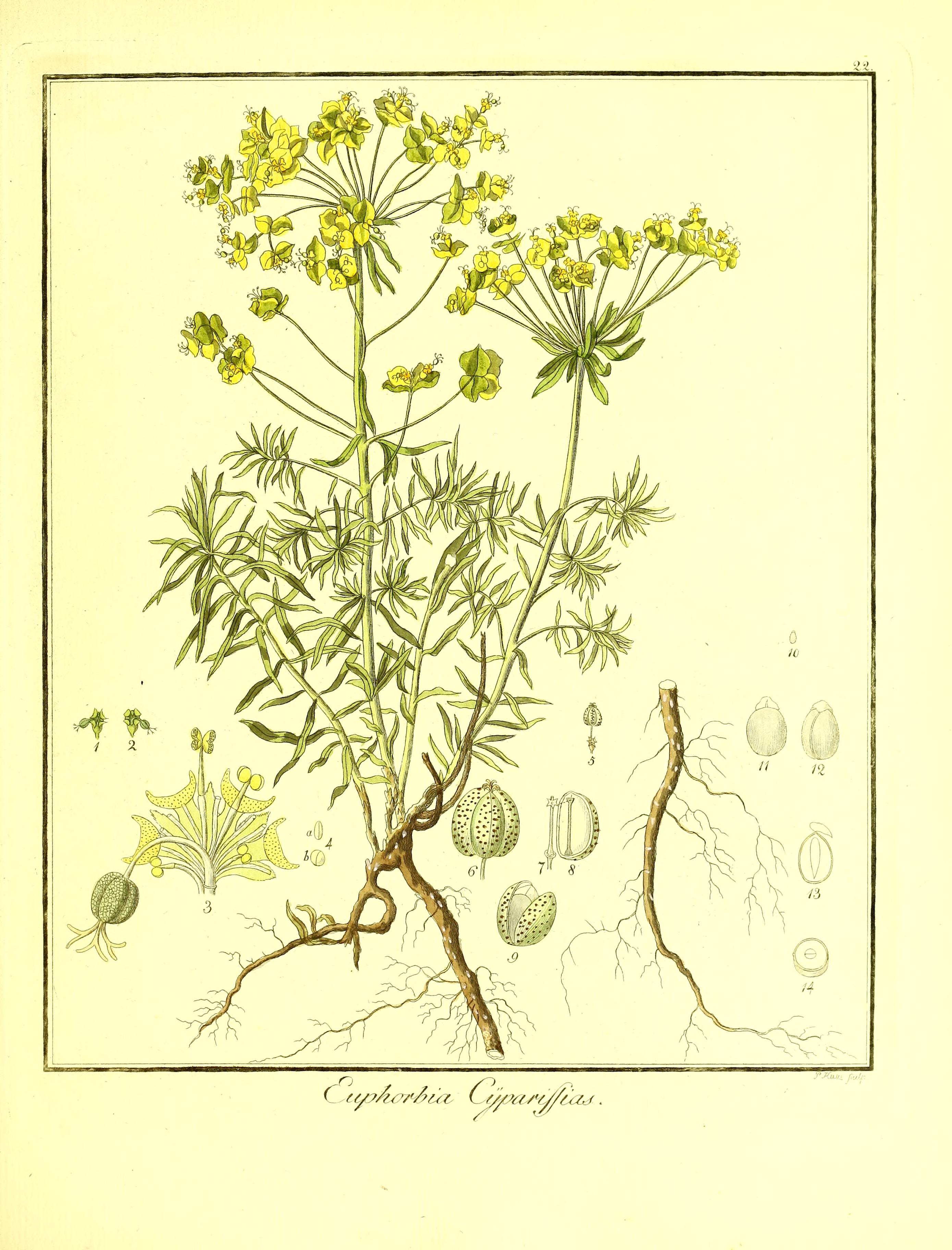 no full size  illustration available (3a)