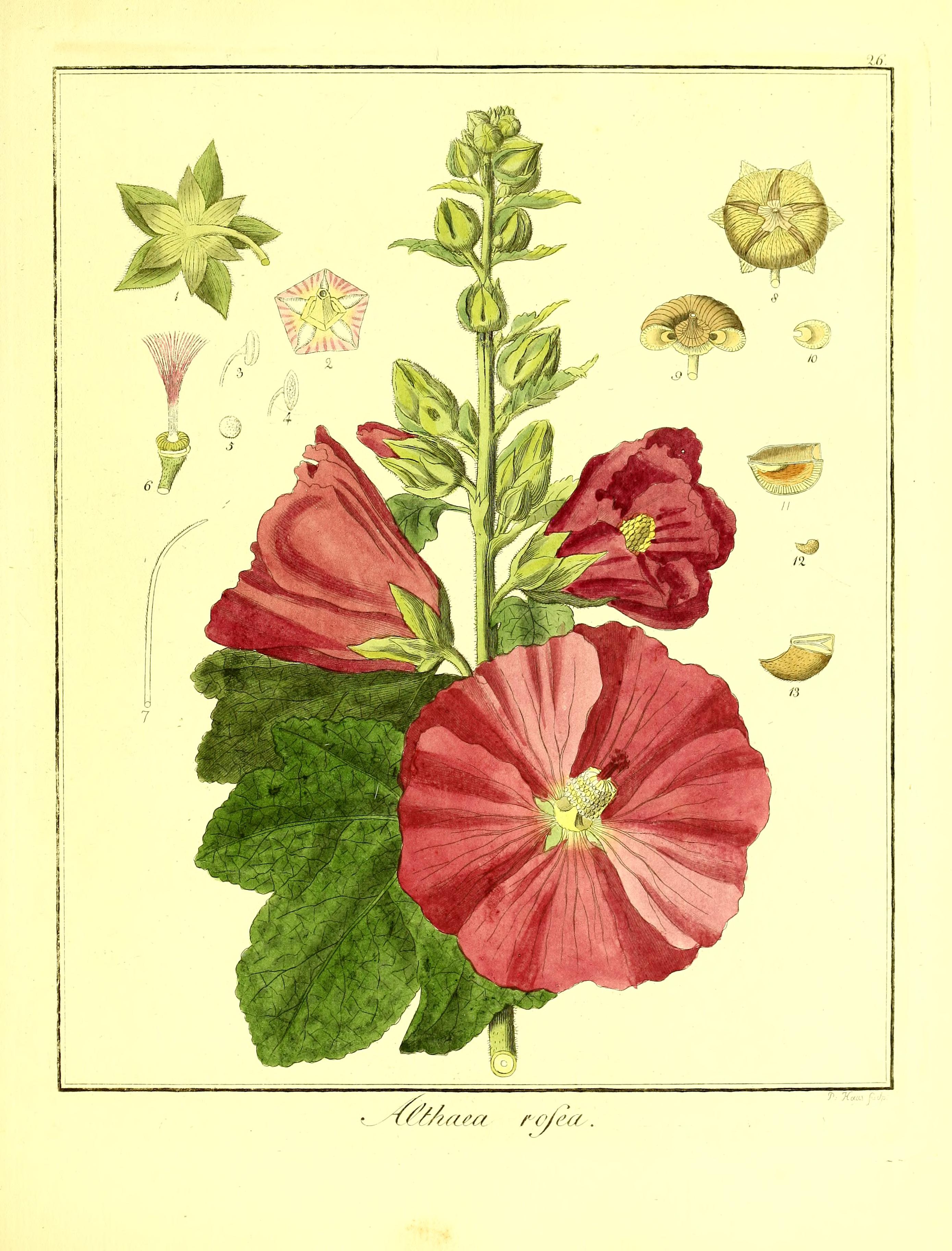 no full size  illustration available (3a)