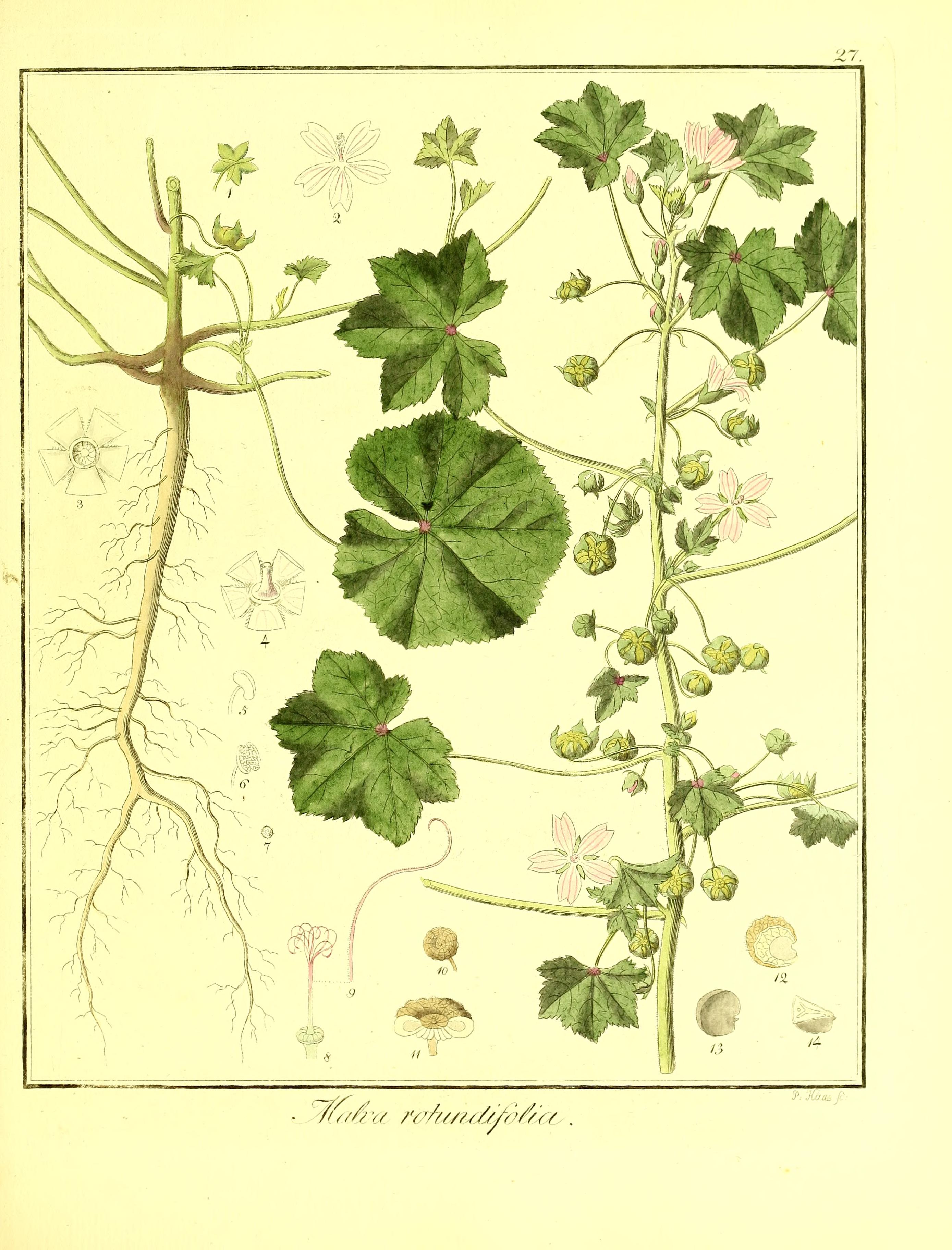 no full size  illustration available (3a)