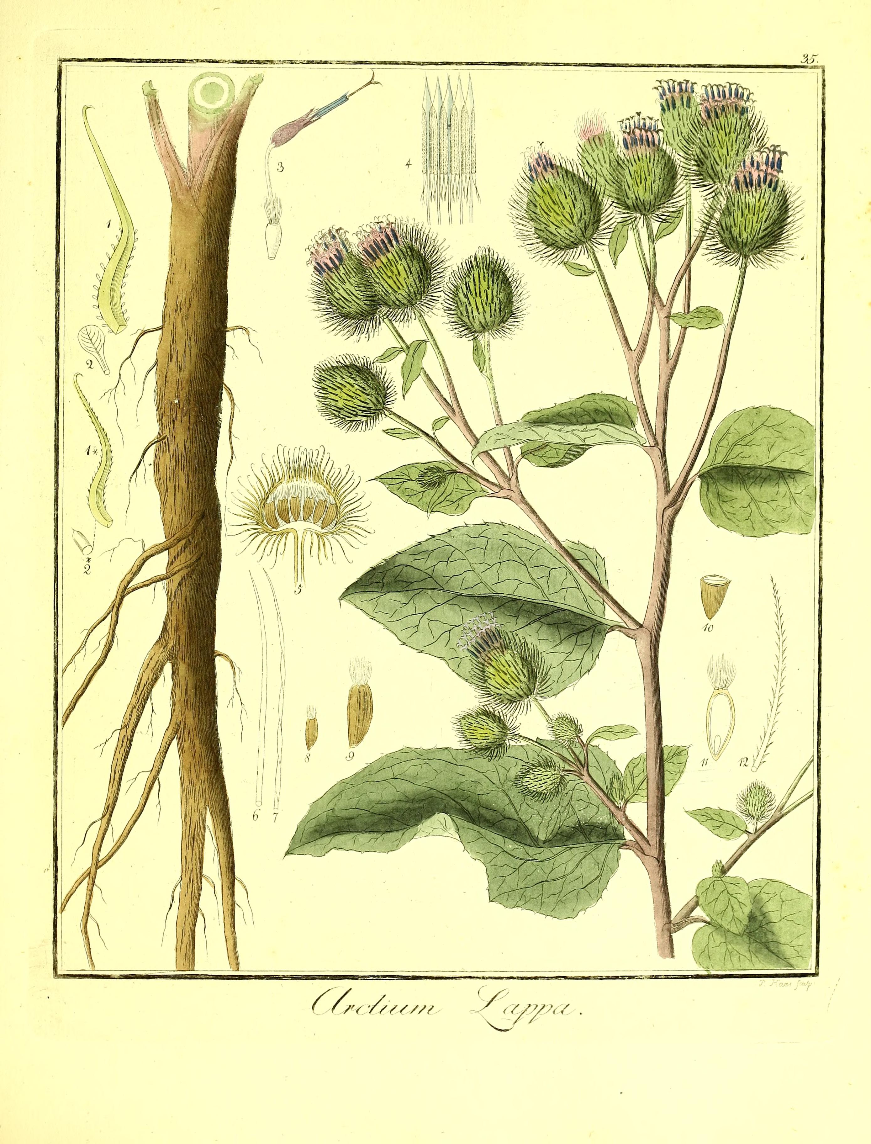 no full size  illustration available (3a)