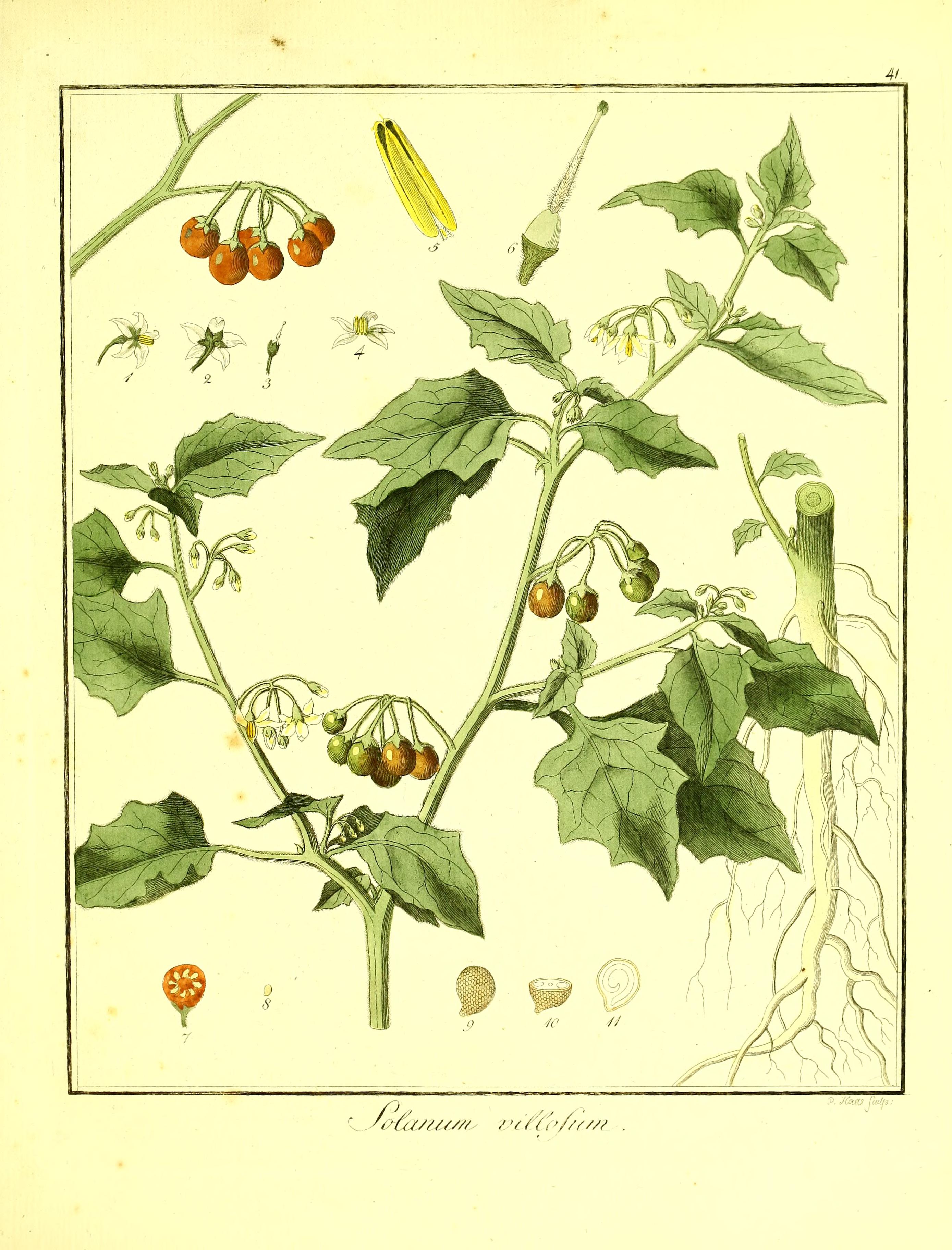 no full size  illustration available (3a)