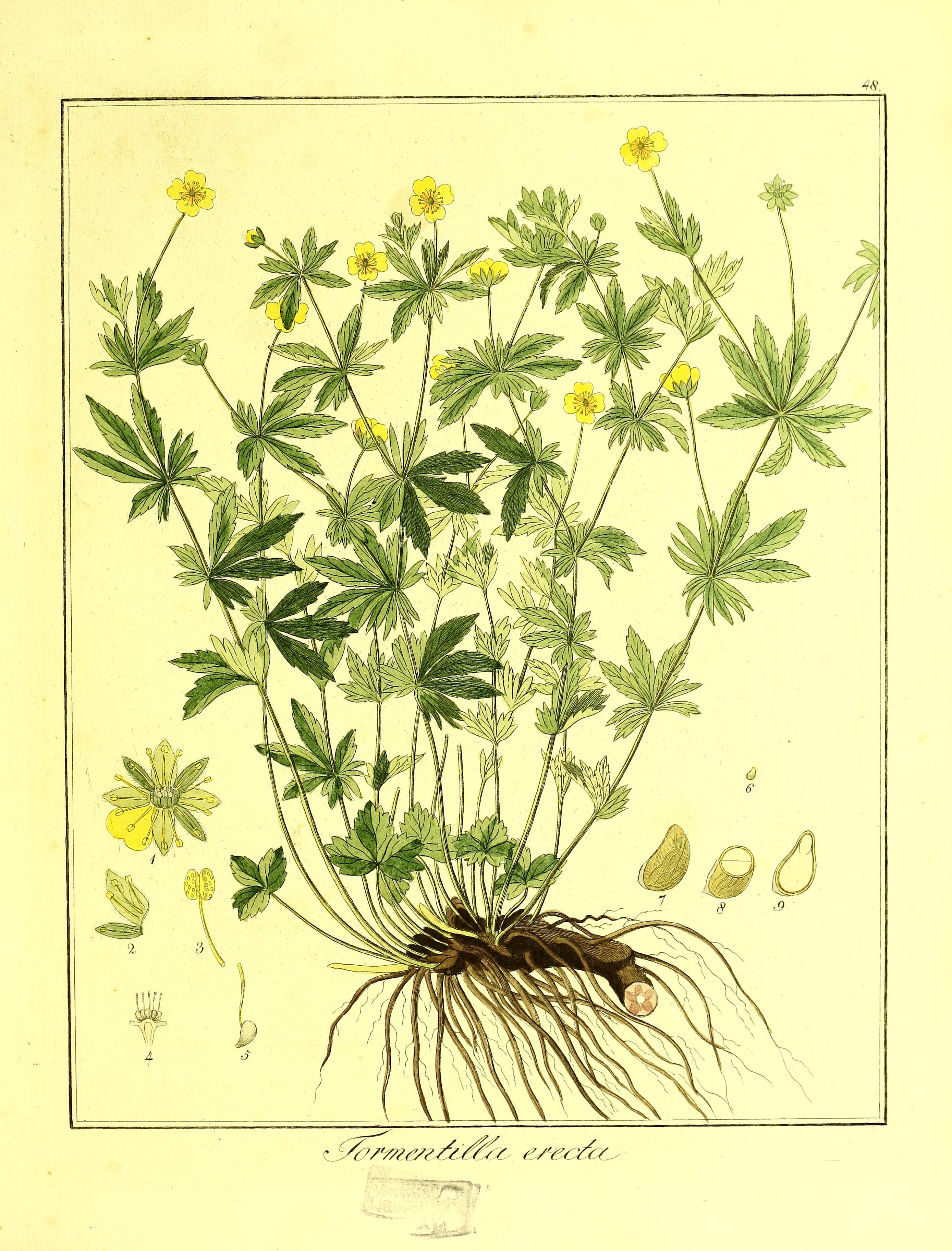 no full size  illustration available (3a)