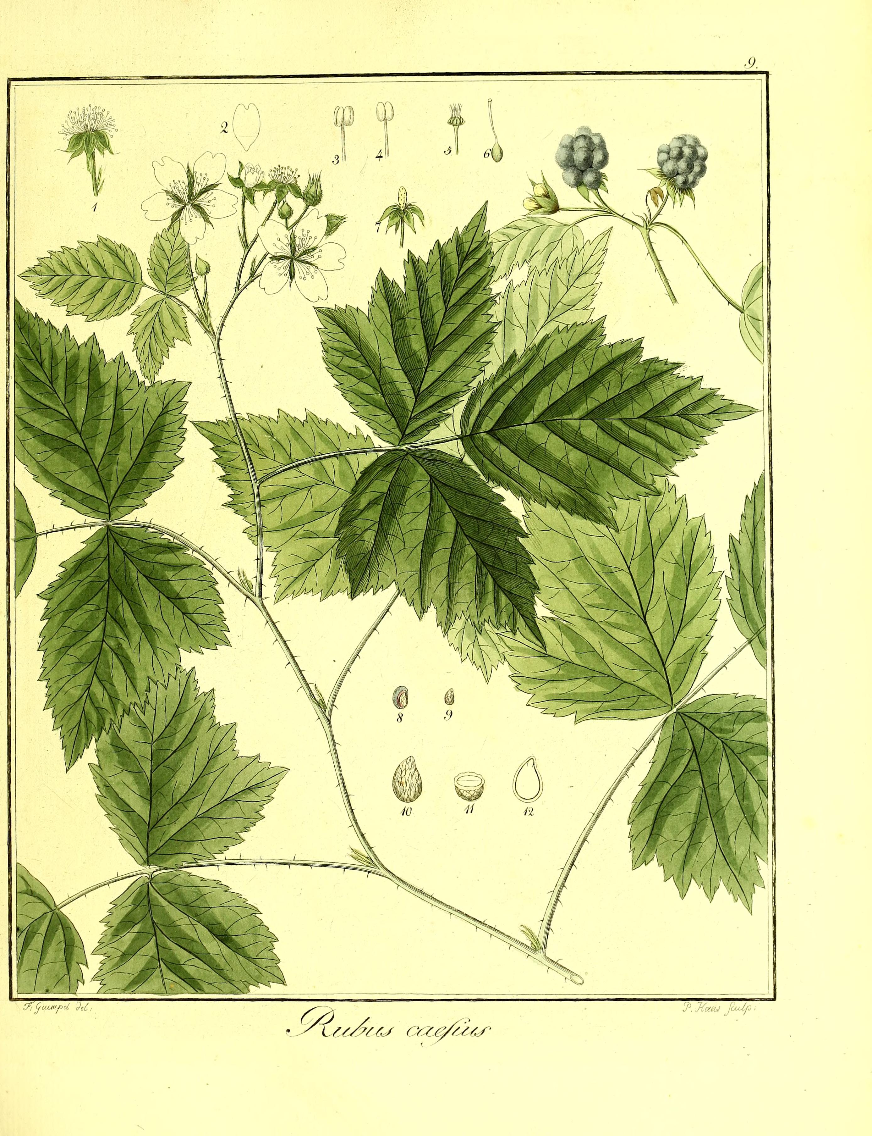 no full size  illustration available (3a)