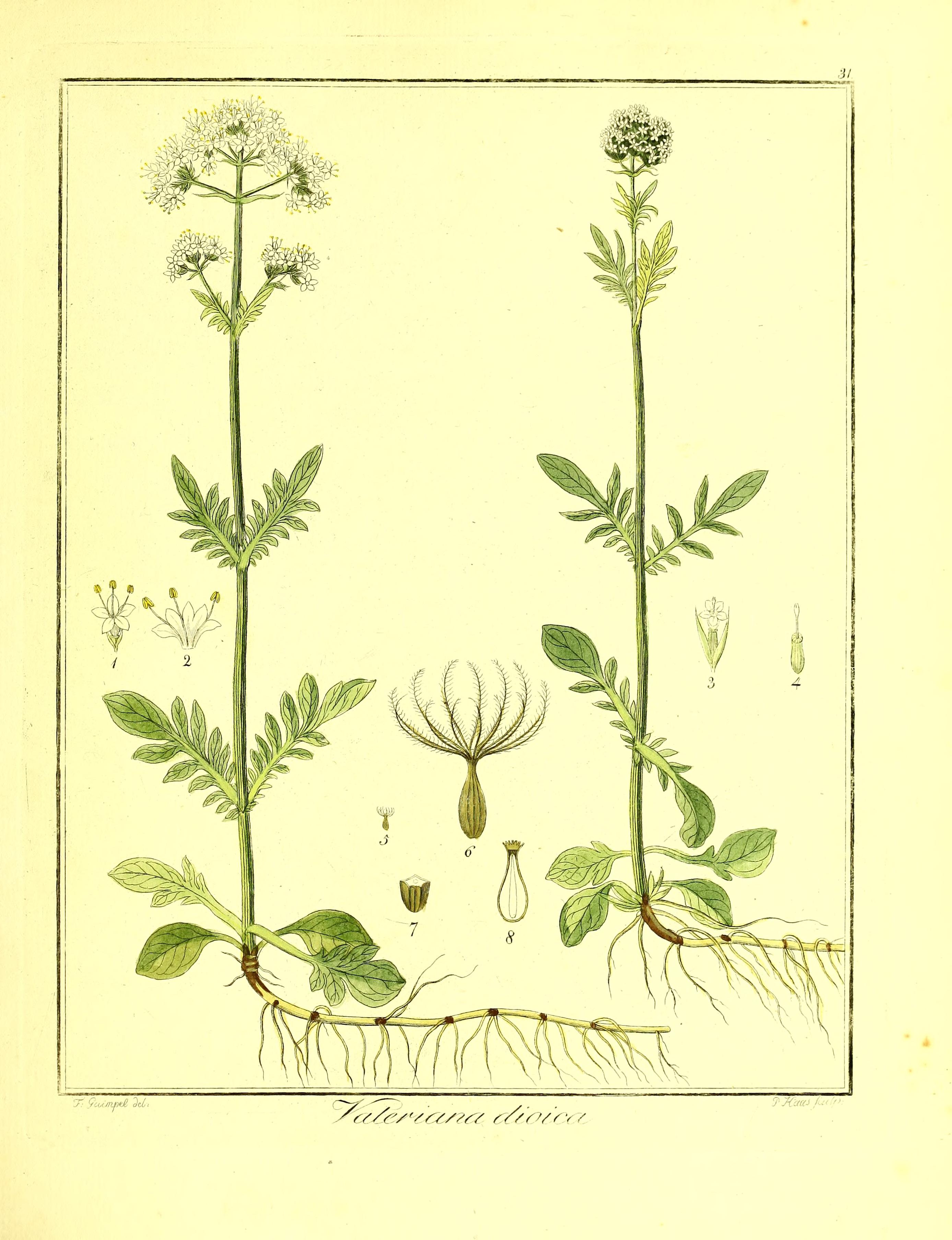 no full size  illustration available (3a)