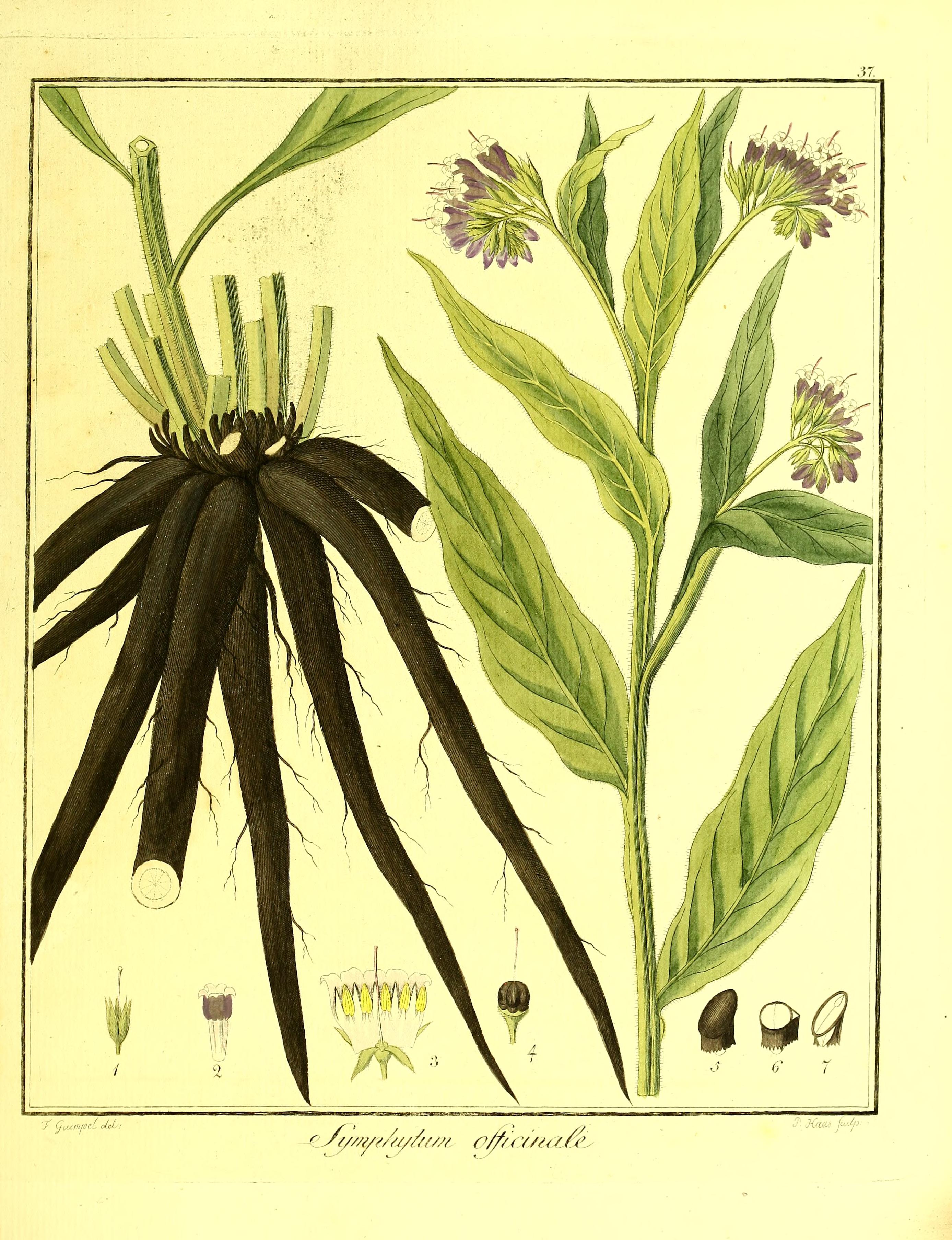 no full size  illustration available (3a)