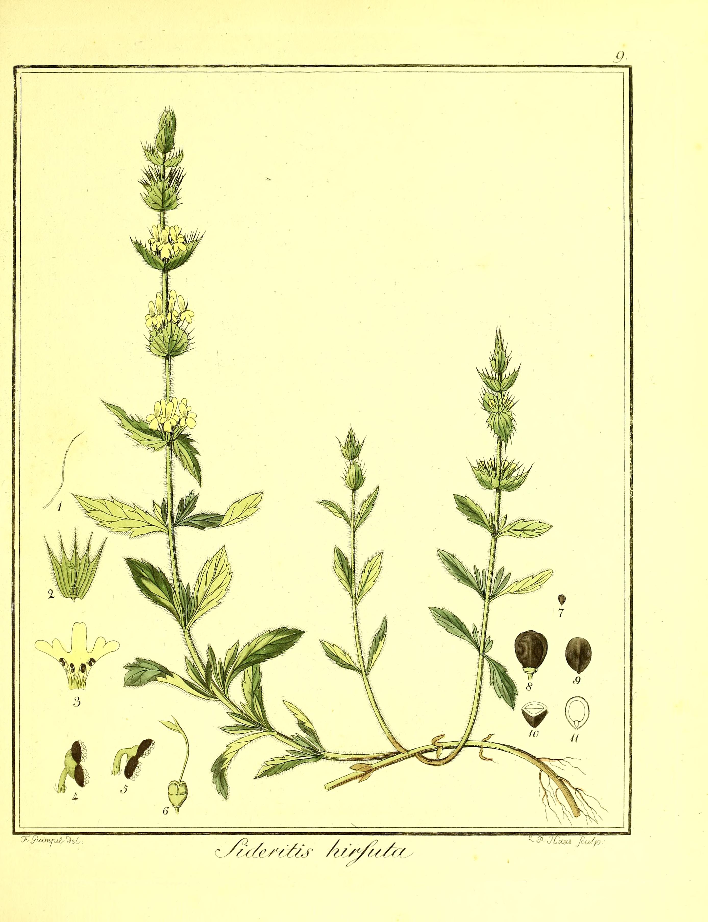 no full size  illustration available (3a)