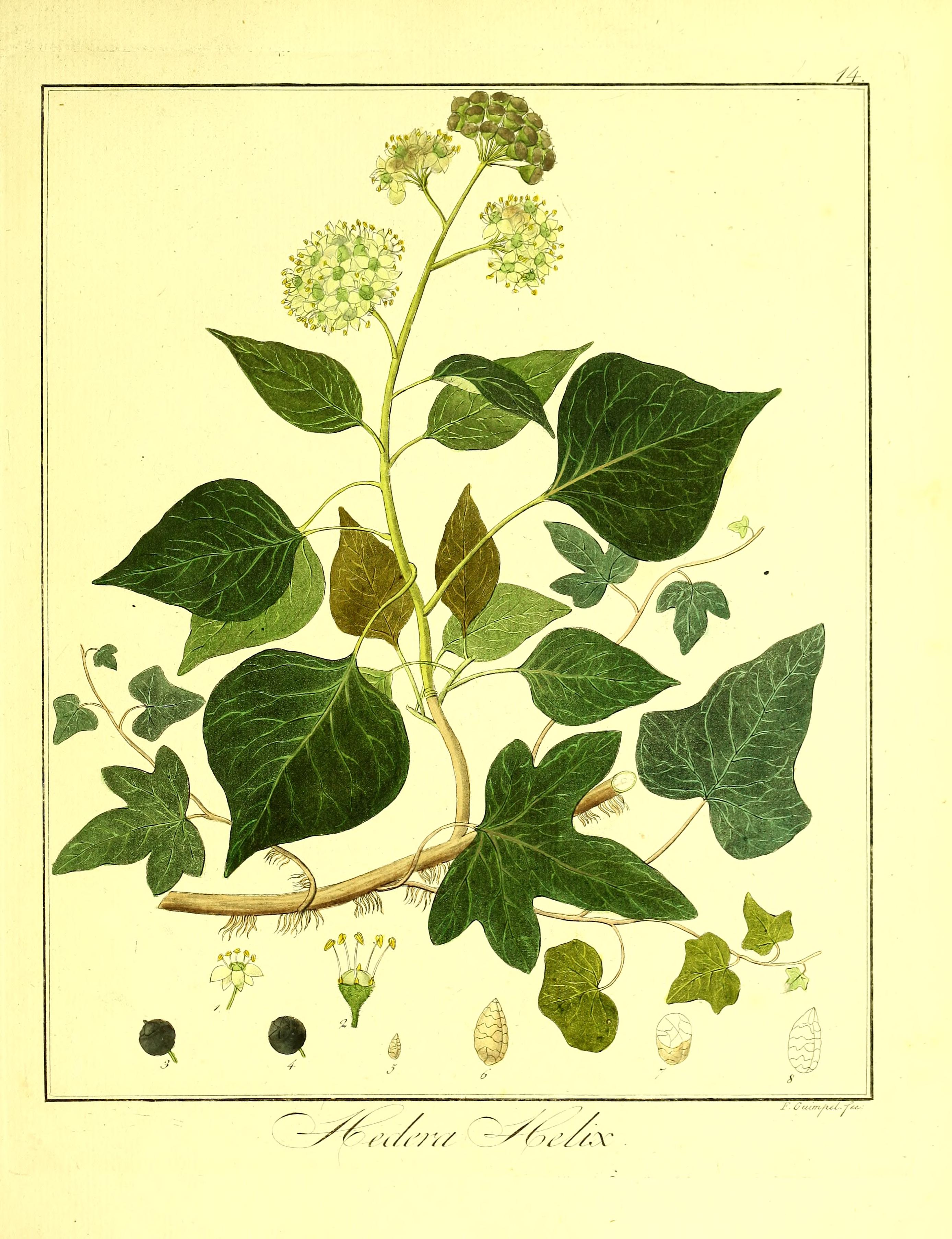 no full size  illustration available (3a)