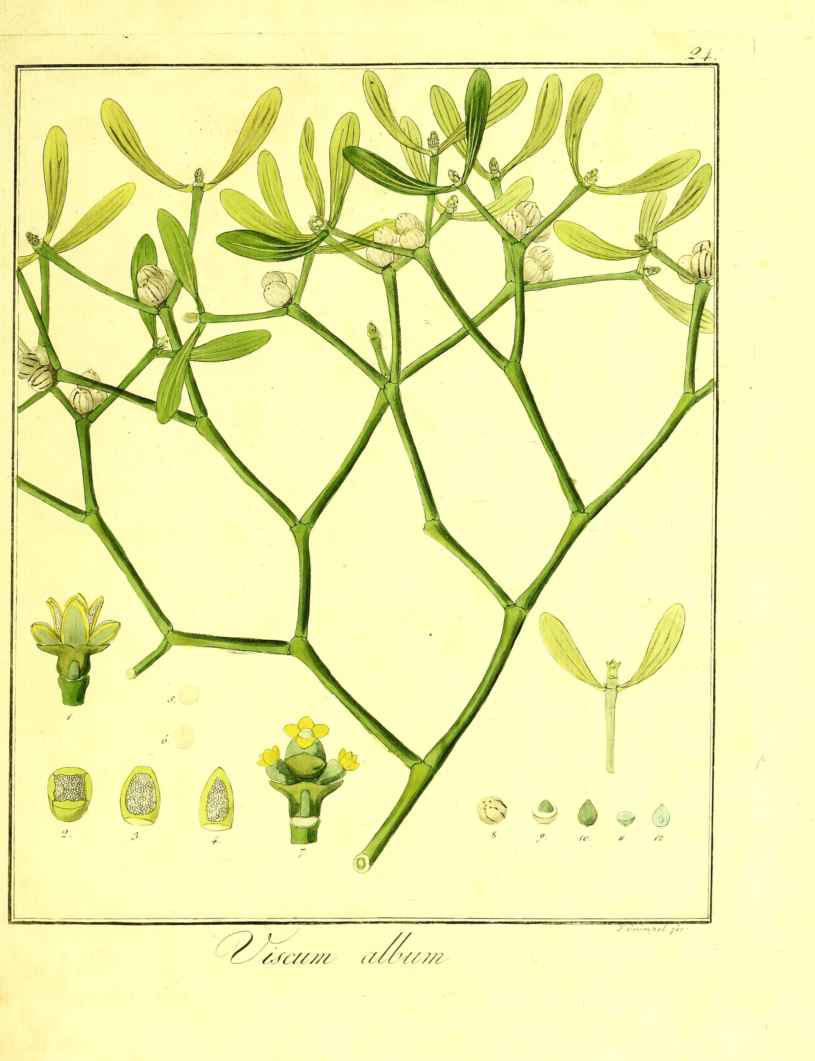 no full size  illustration available (3a)