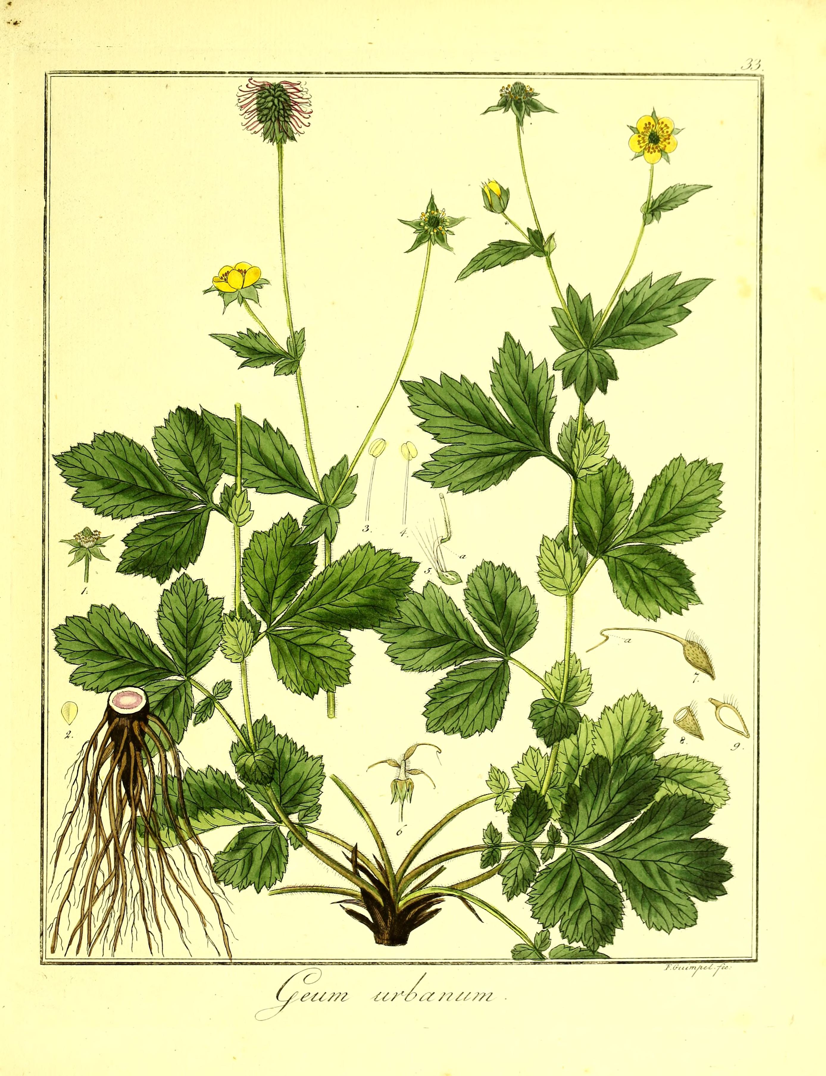 no full size  illustration available (3a)