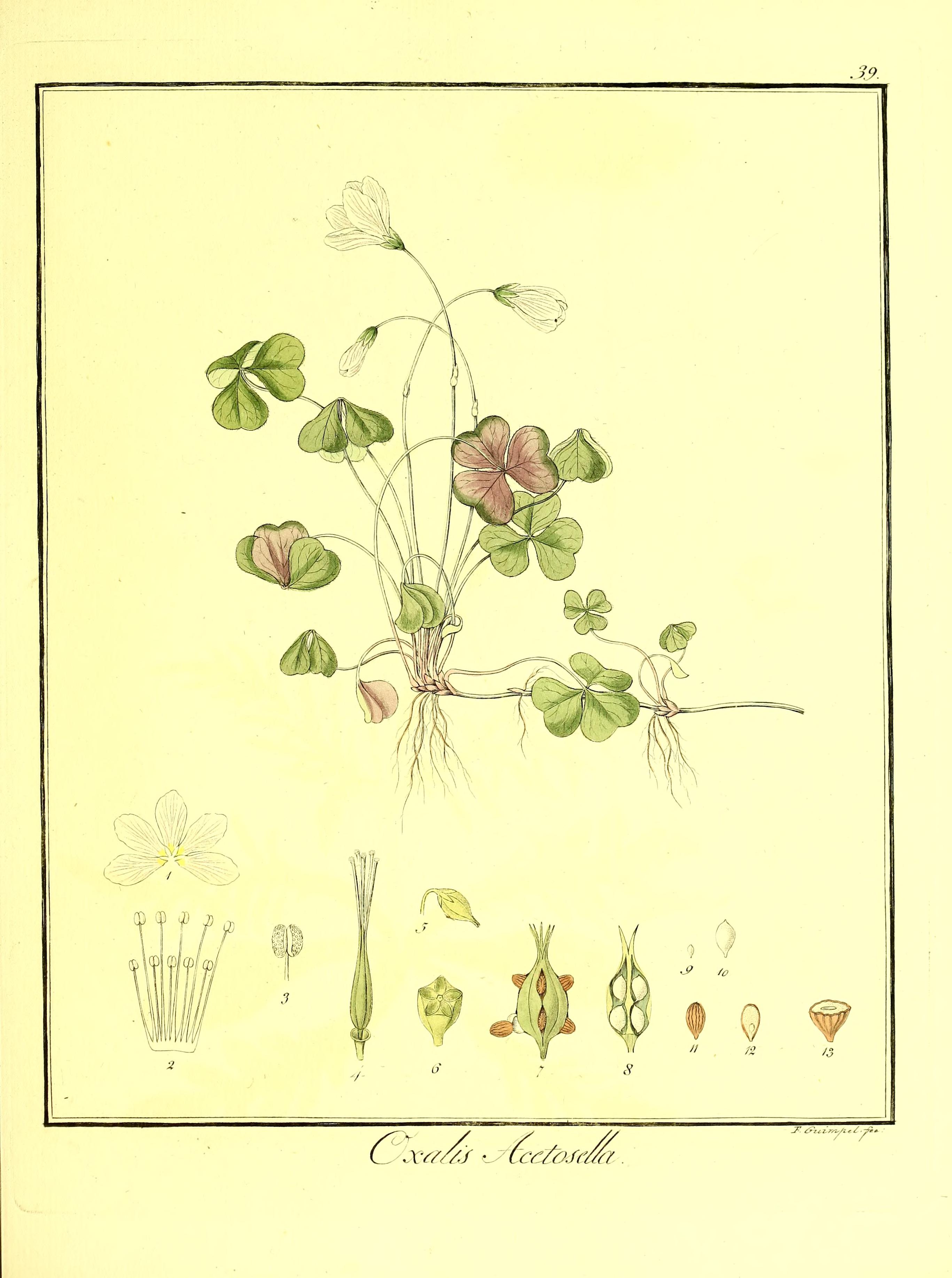 no full size  illustration available (3a)