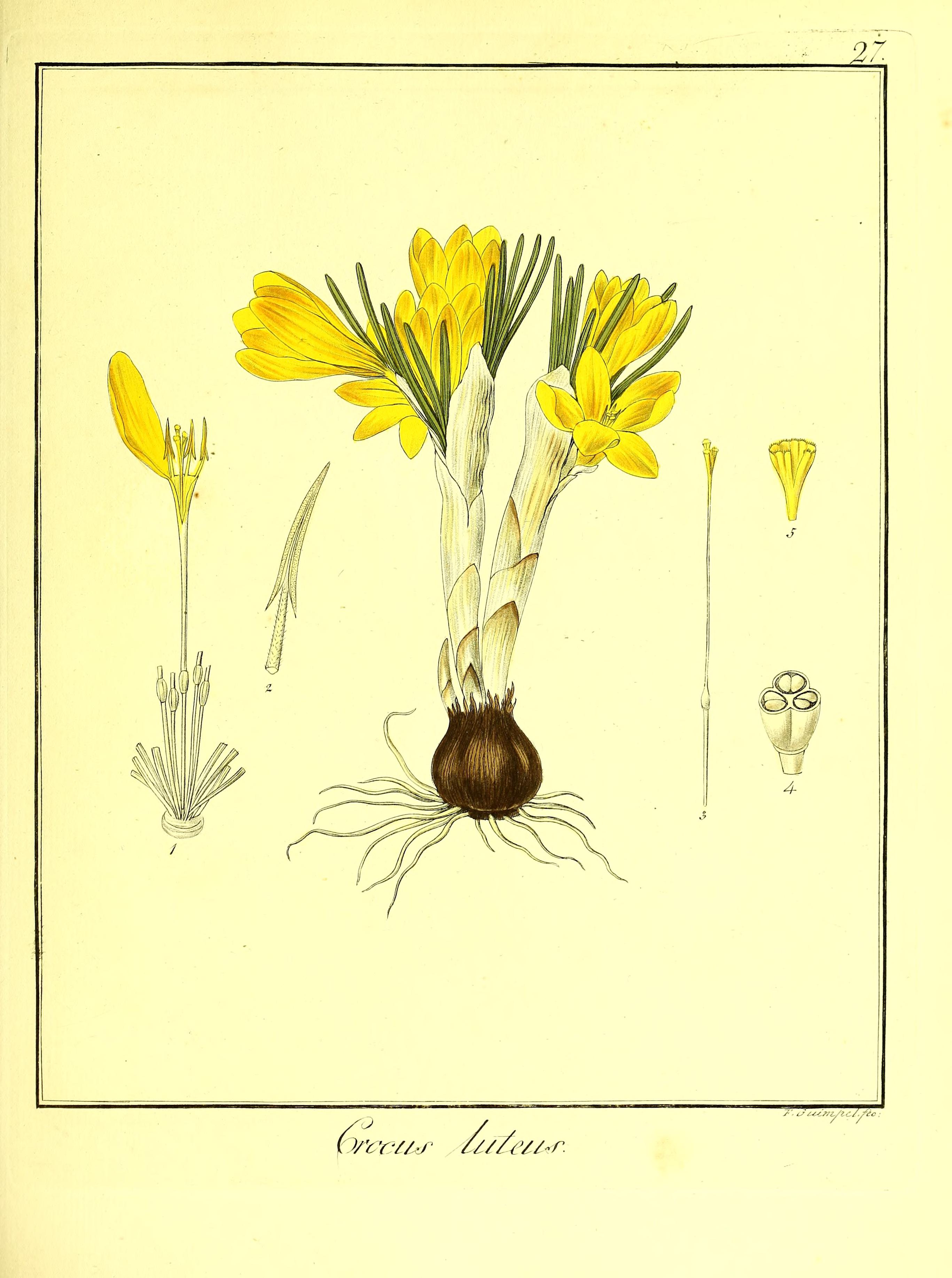 no full size  illustration available (3a)