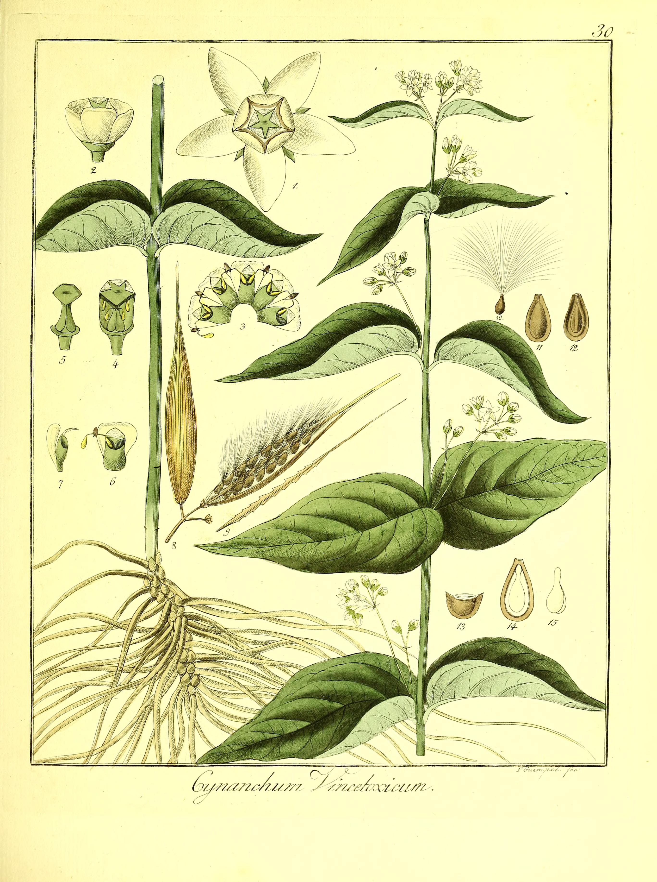 no full size  illustration available (3a)