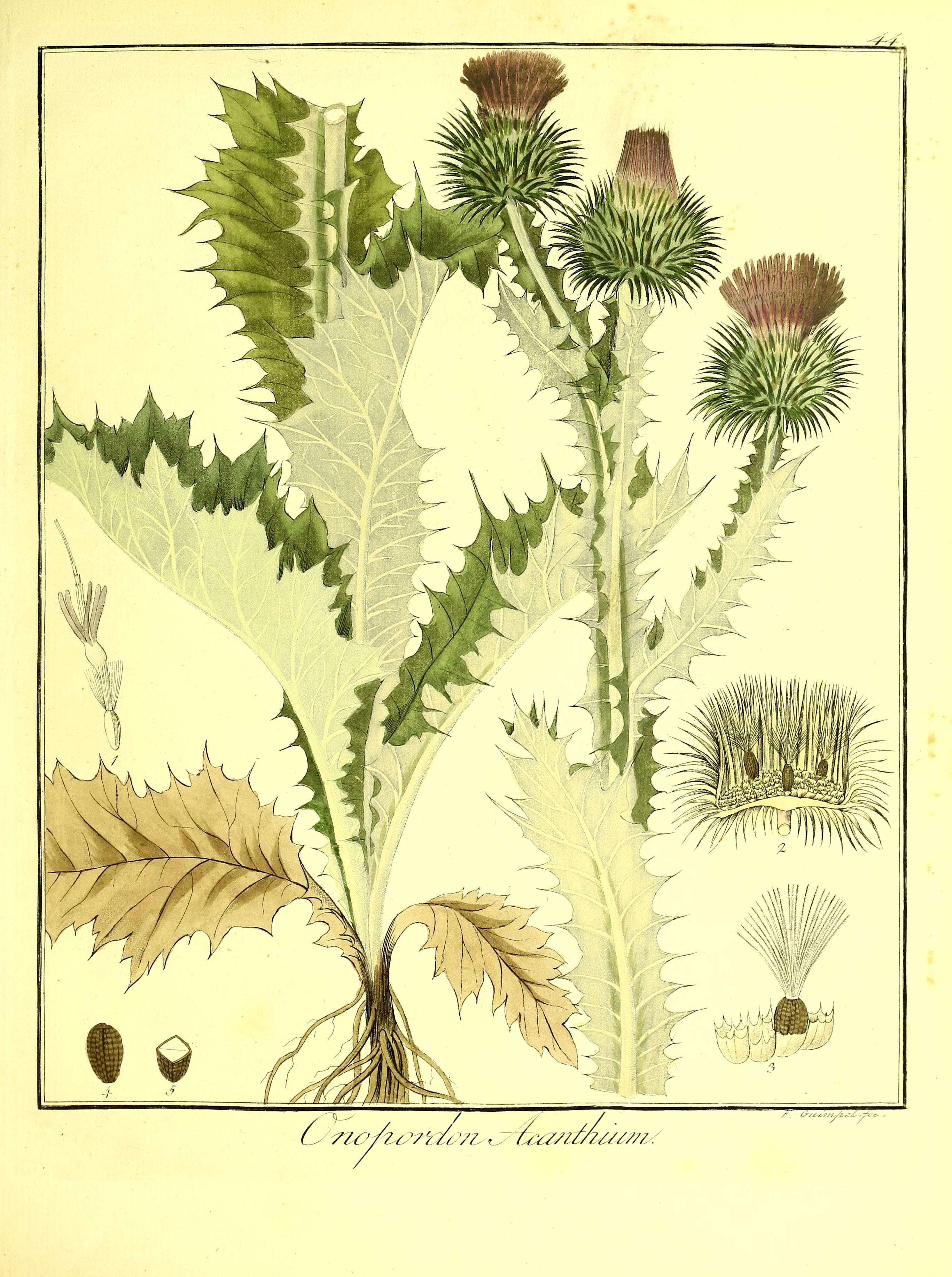 no full size  illustration available (3a)