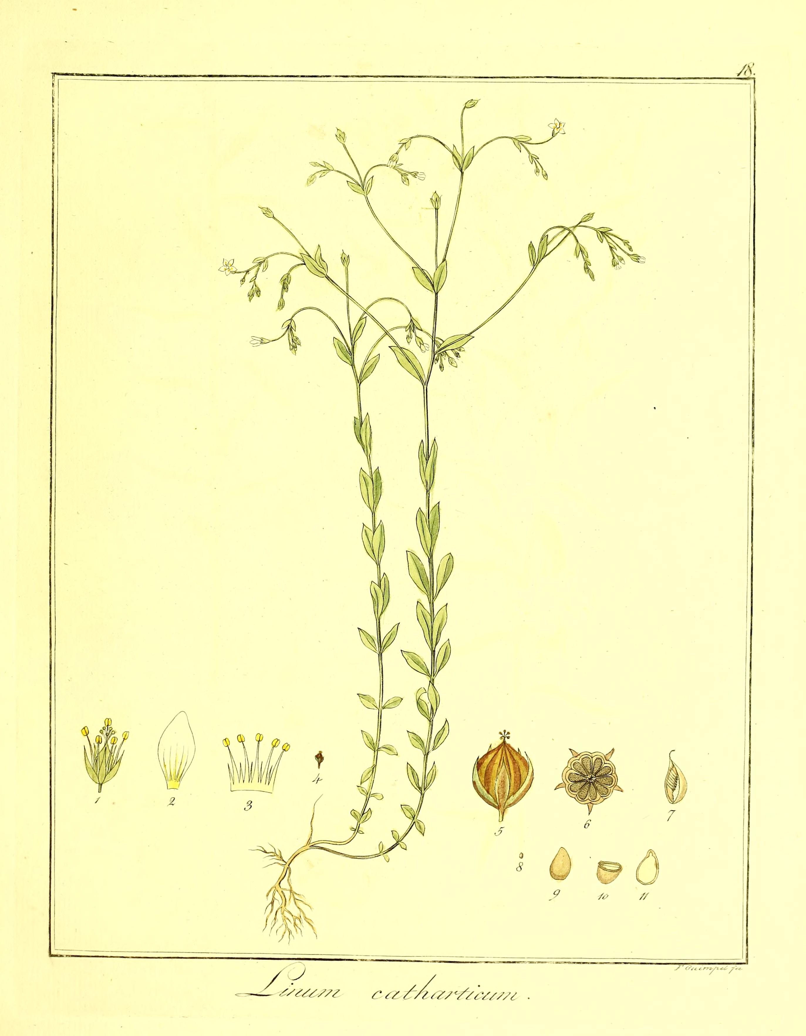 no full size  illustration available (3a)