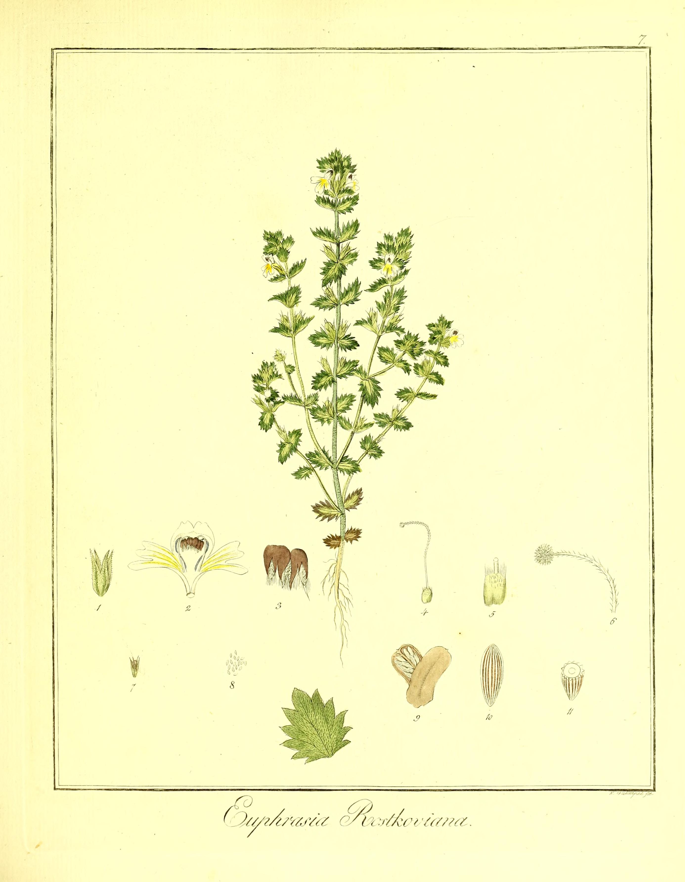 no full size  illustration available (3a)