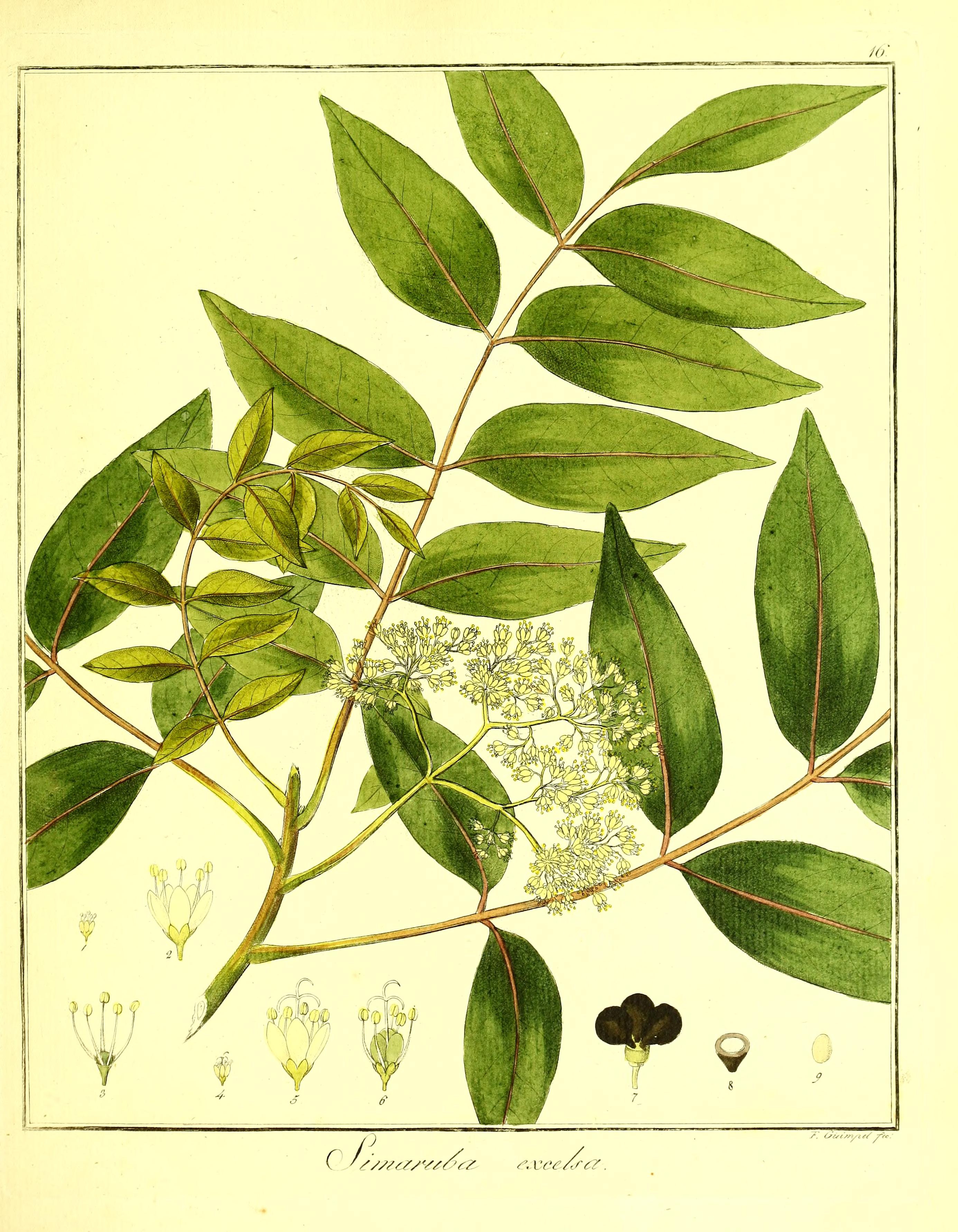 no full size  illustration available (3a)