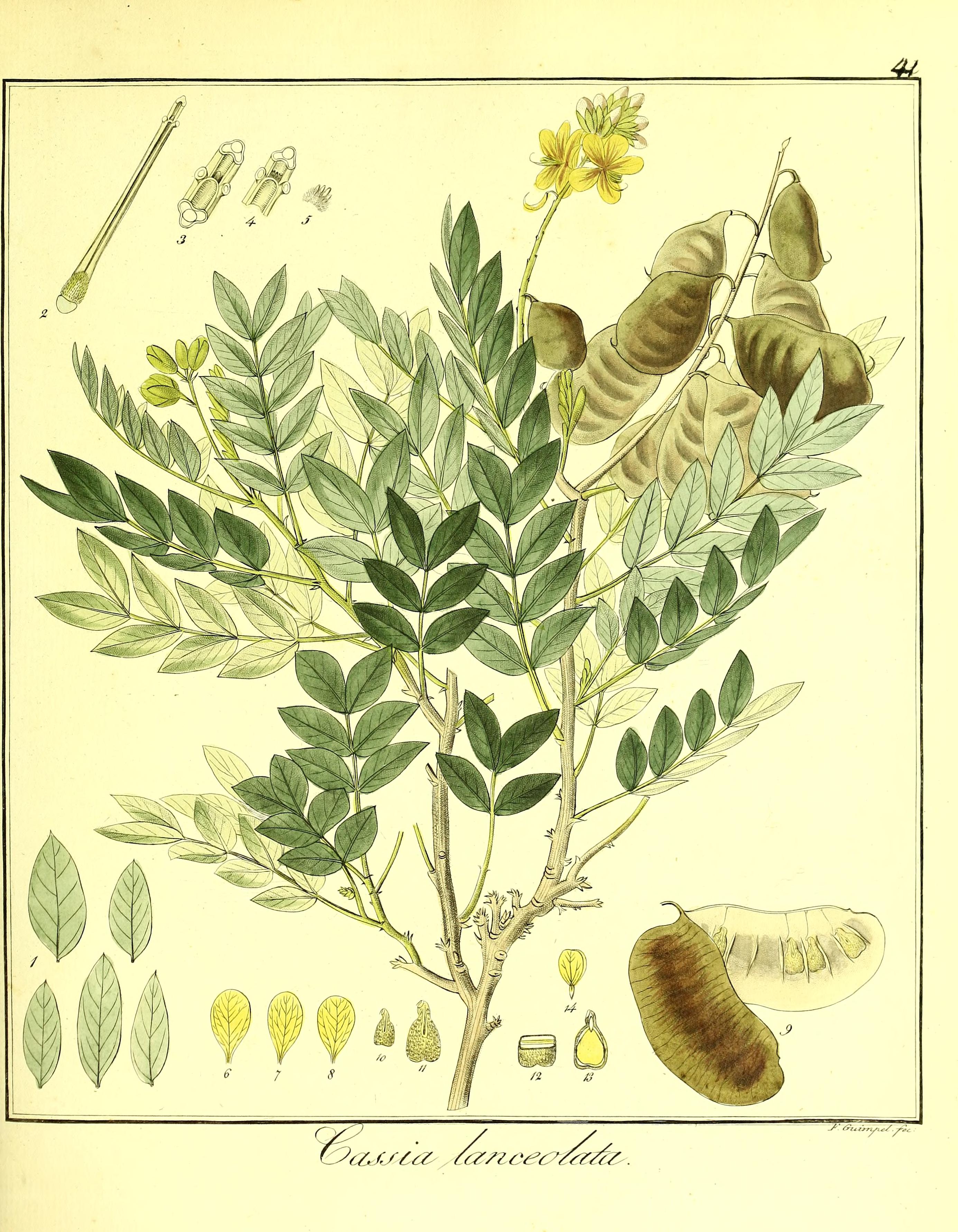 no full size  illustration available (3a)