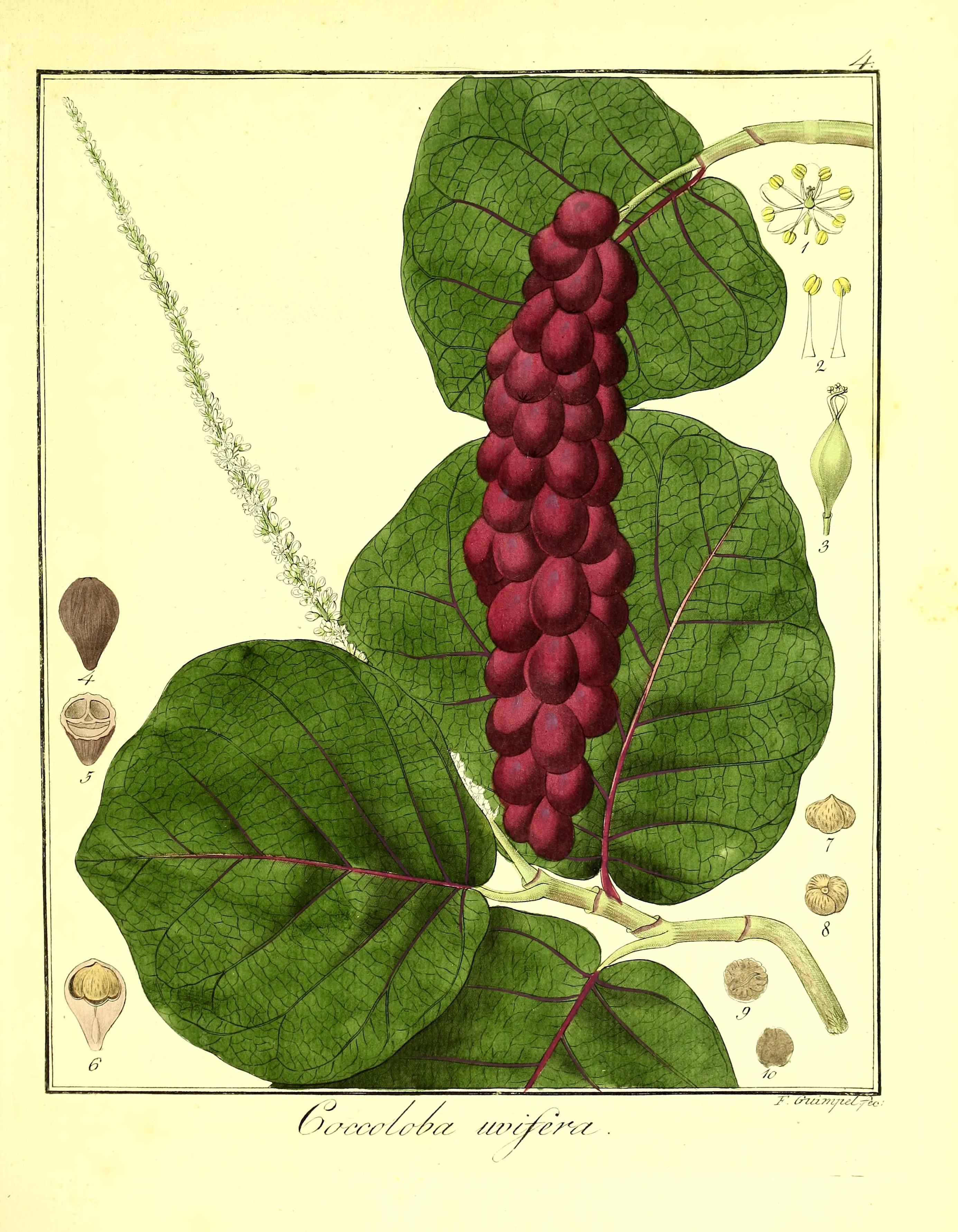 no full size  illustration available (3a)