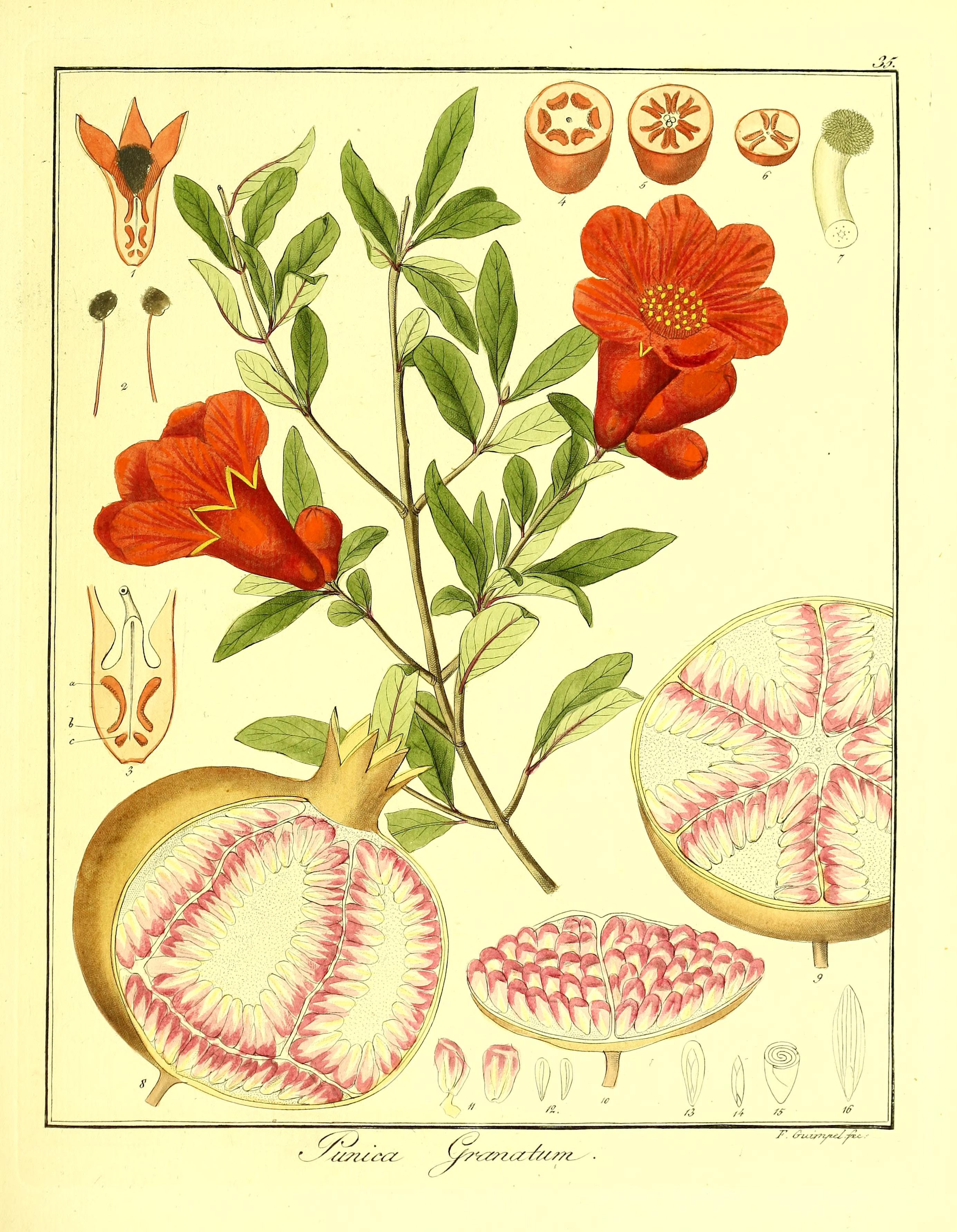 no full size  illustration available (3a)