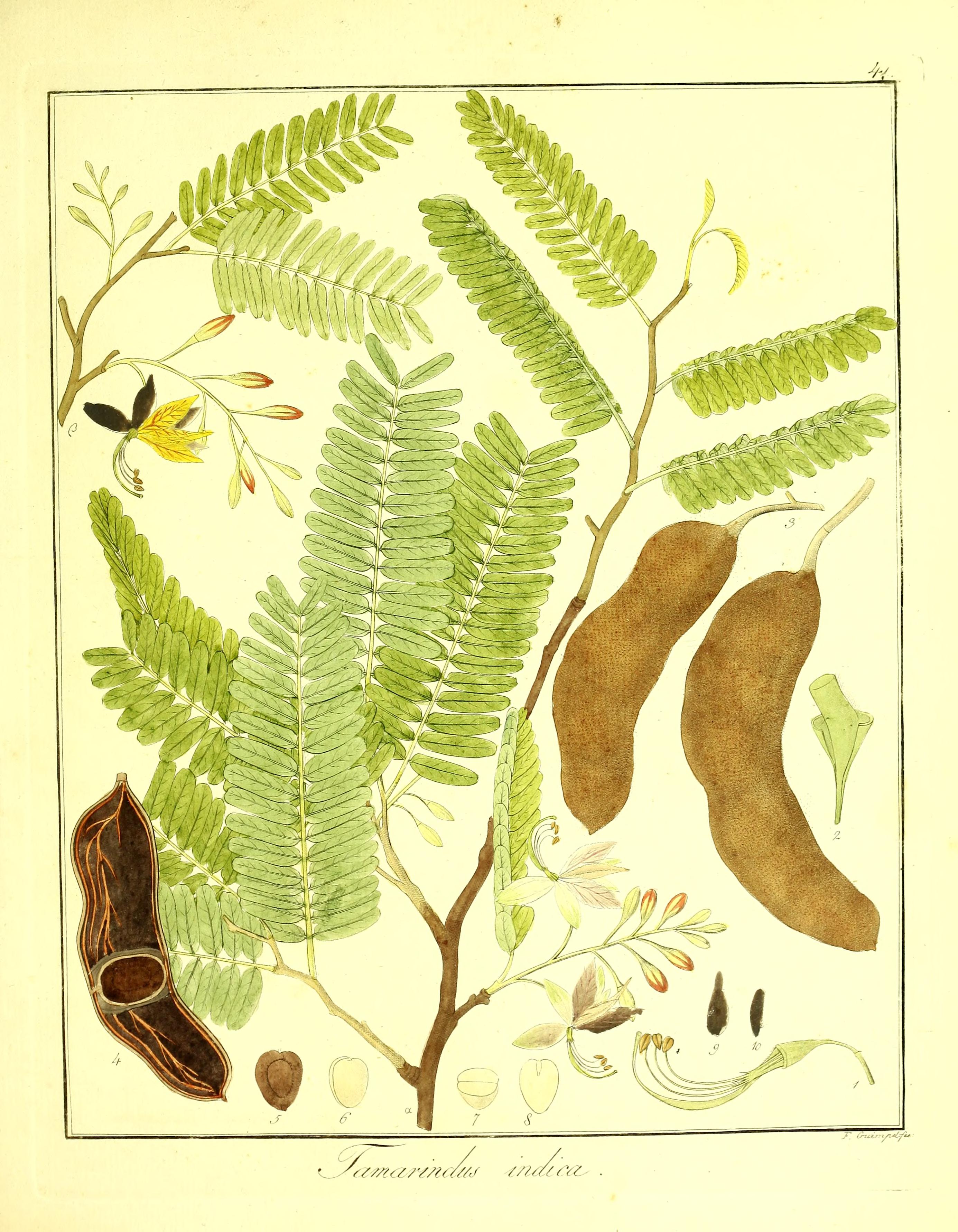 no full size  illustration available (3a)