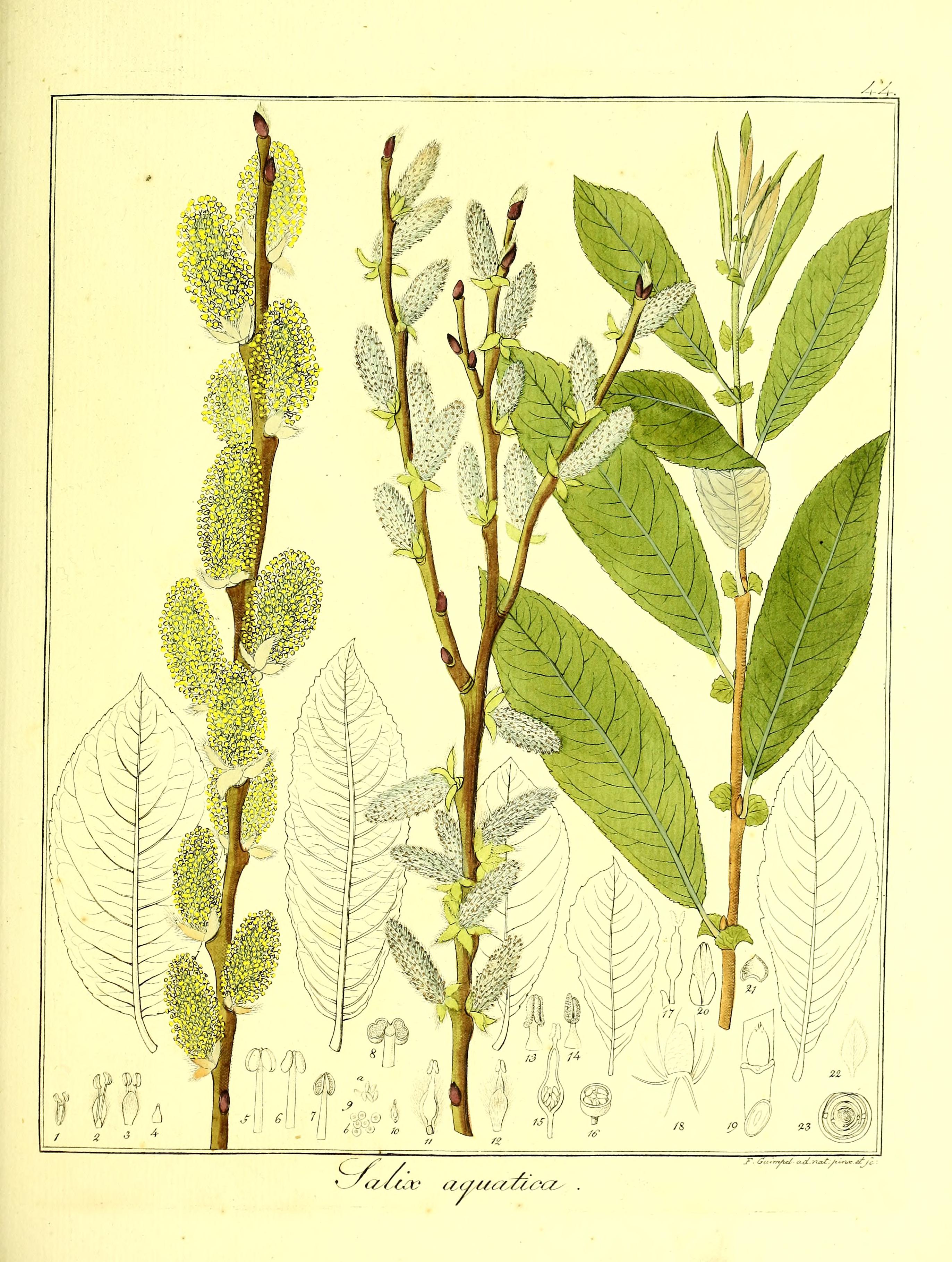 no full size  illustration available (3a)