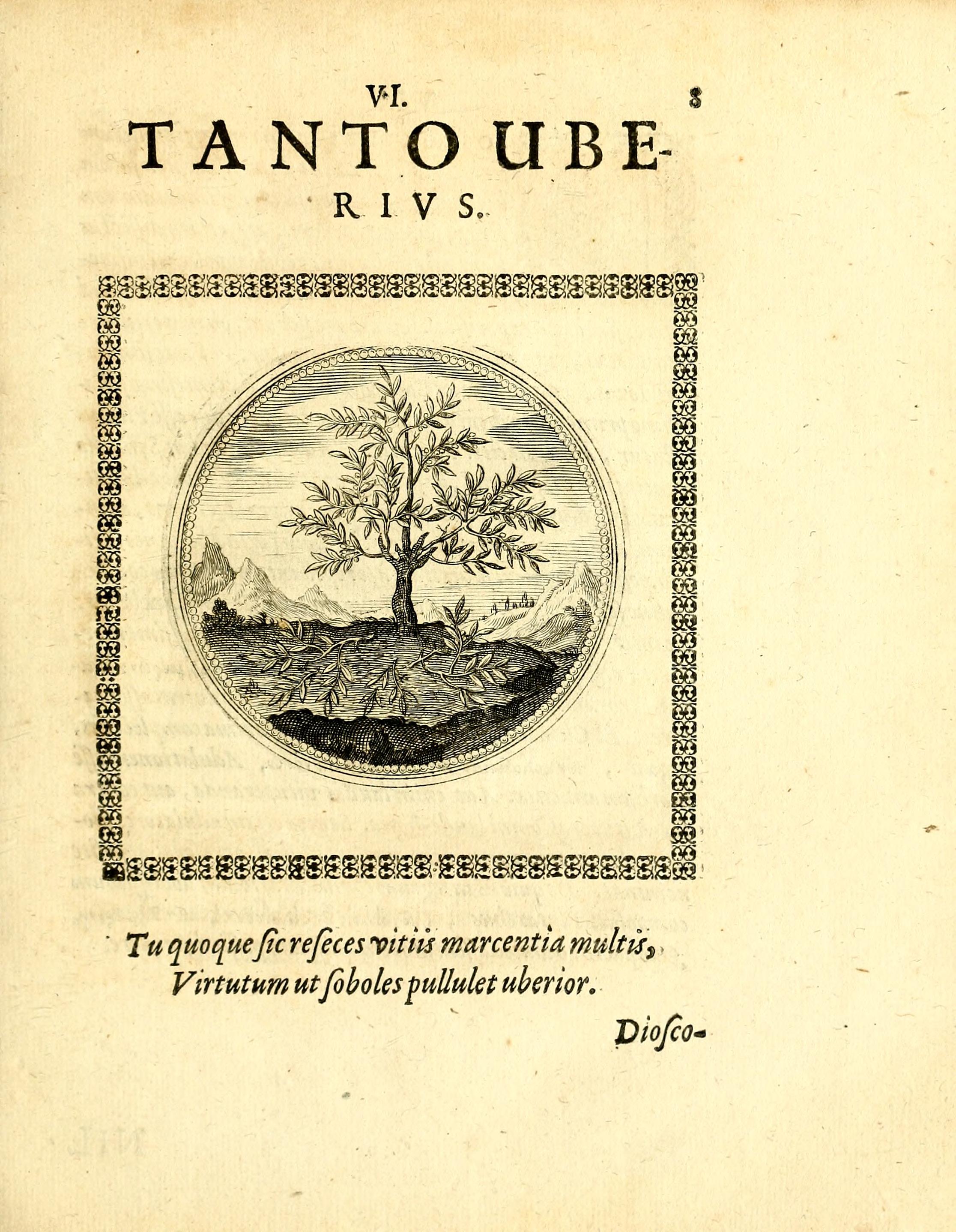 no full size  illustration available (3a)