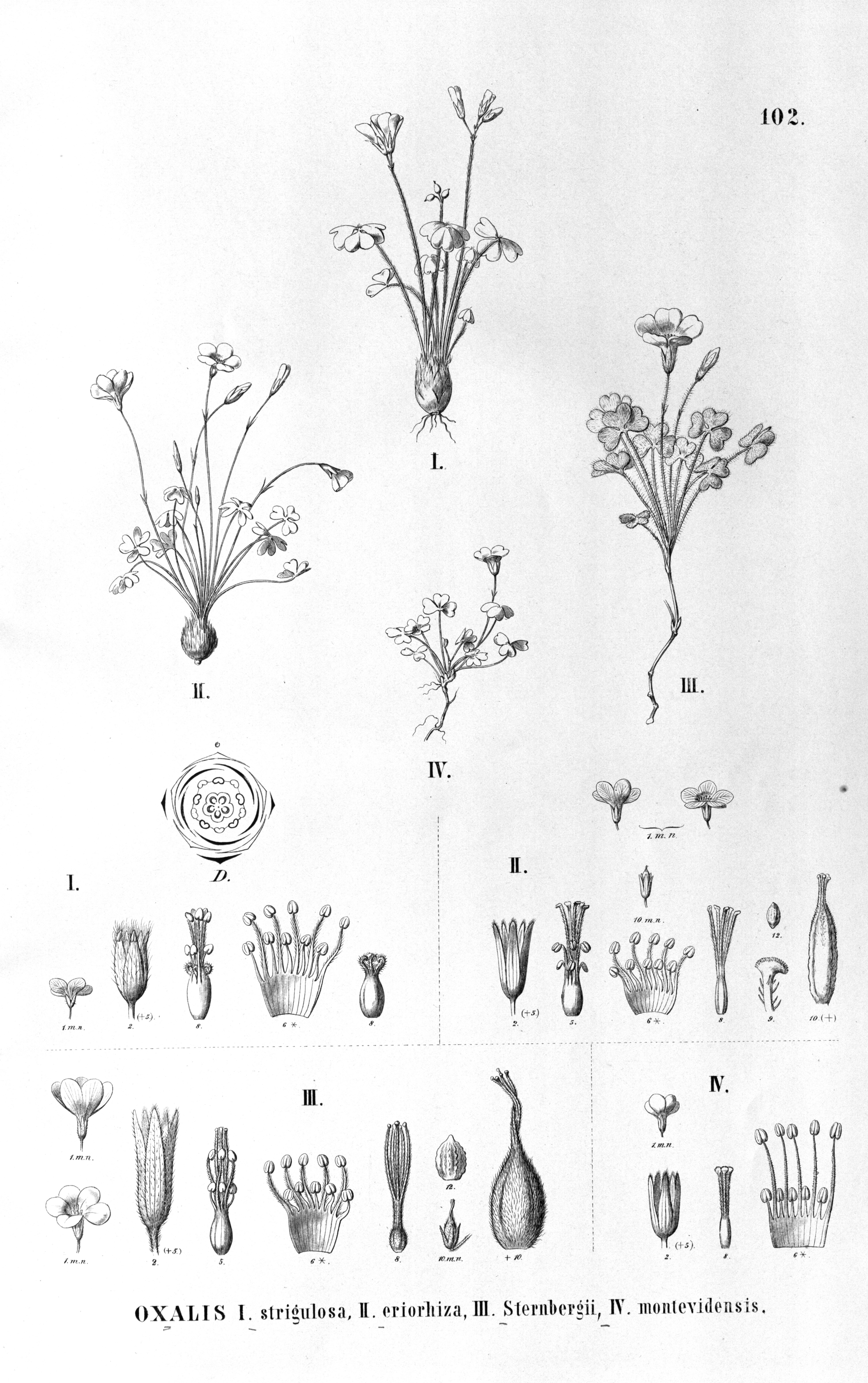 no full size  illustration available (3a)