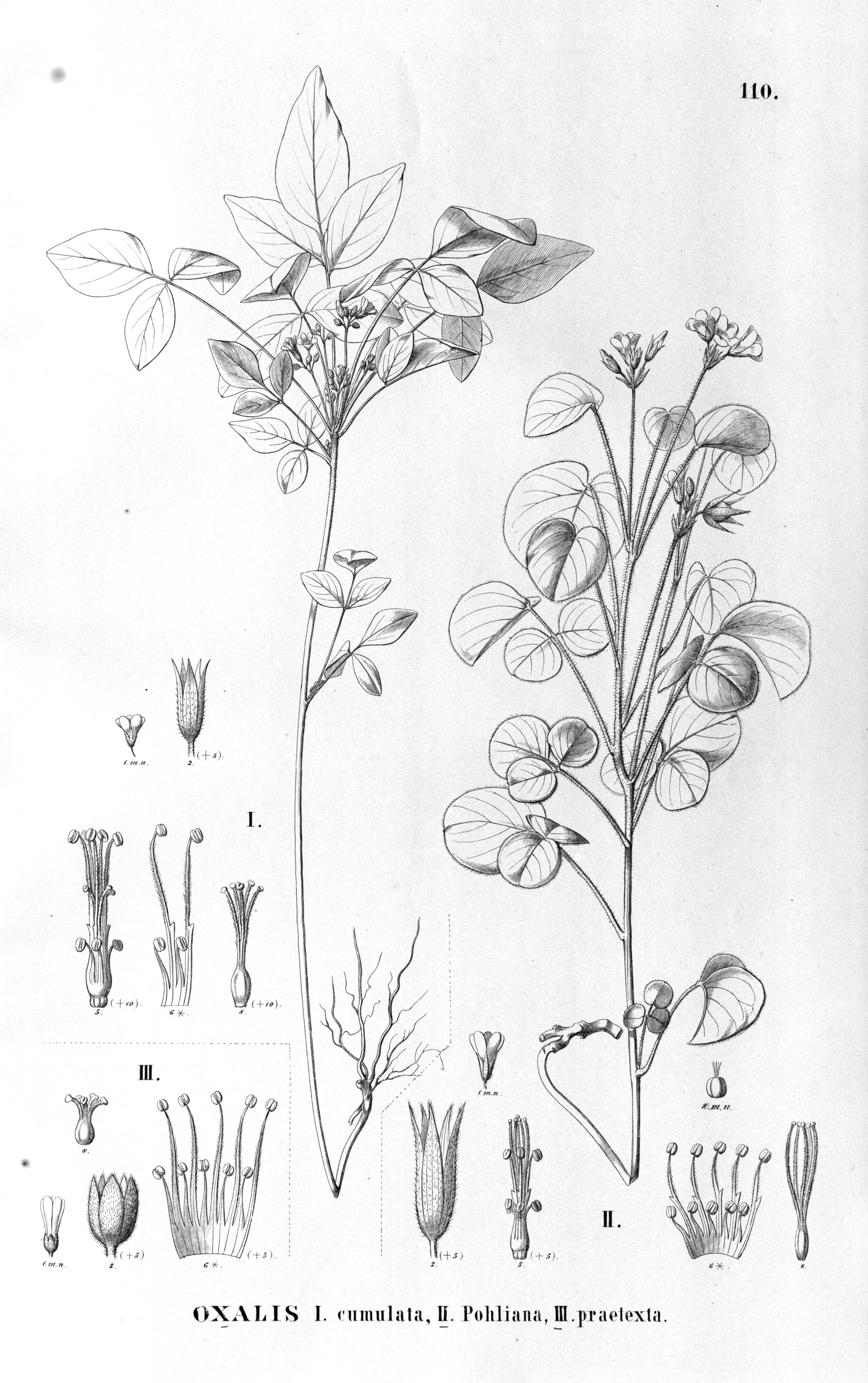 no full size  illustration available (3a)