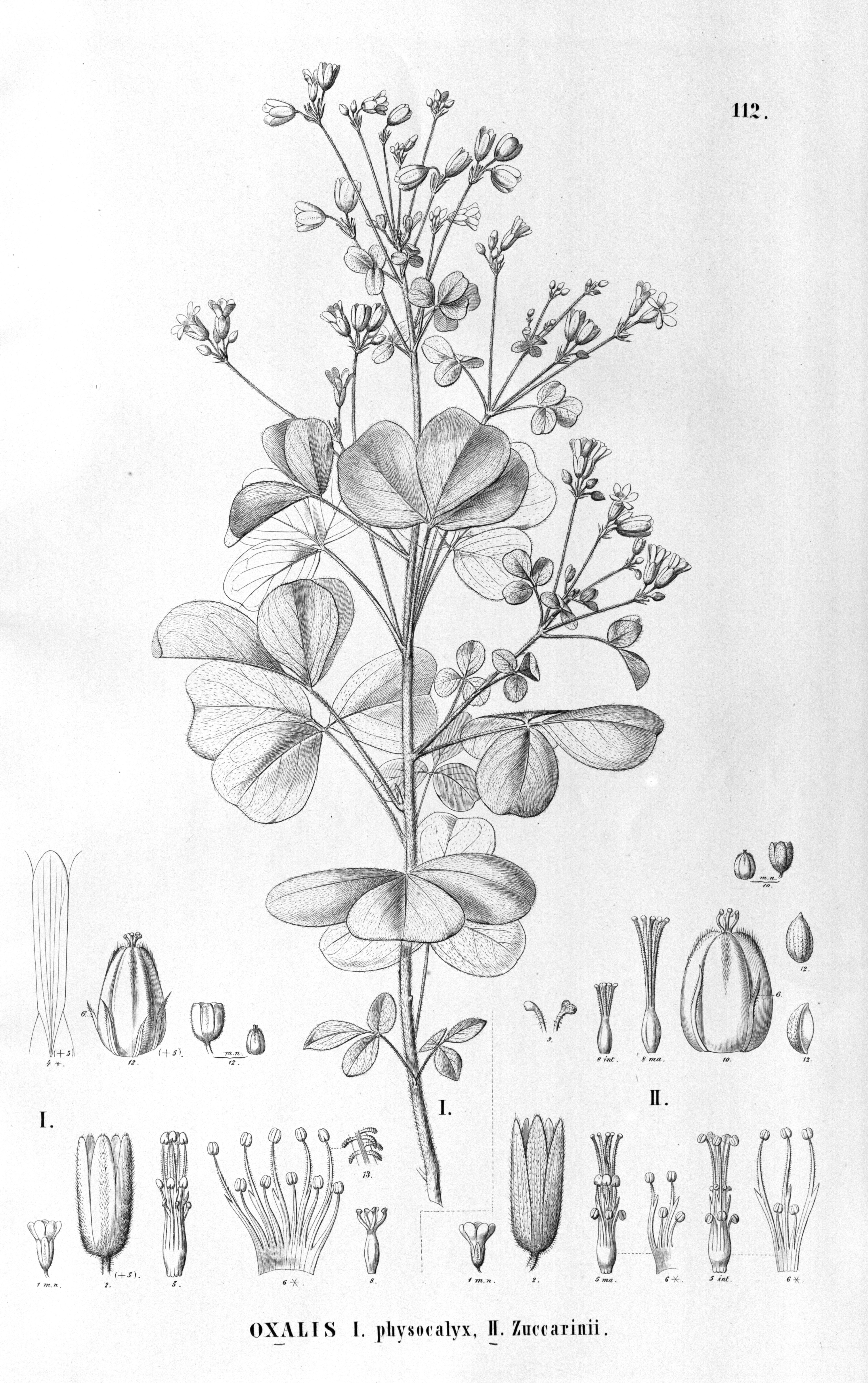 no full size  illustration available (3a)