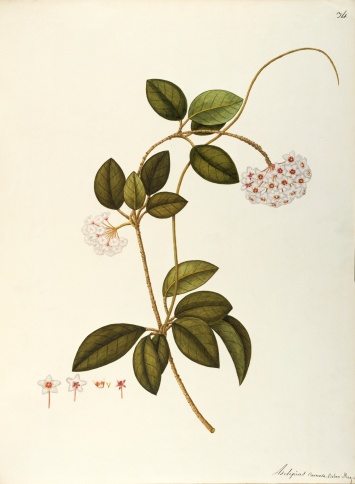 no full size  illustration available (3a)