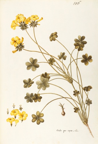 no full size  illustration available (3a)