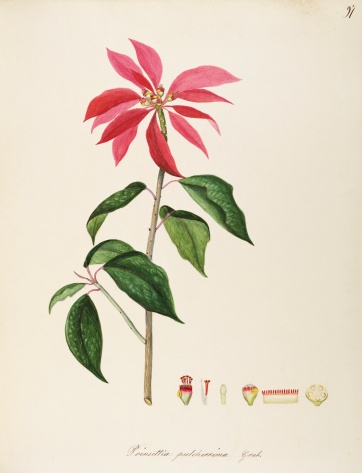 no full size  illustration available (3a)