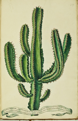 no full size  illustration available (3a)