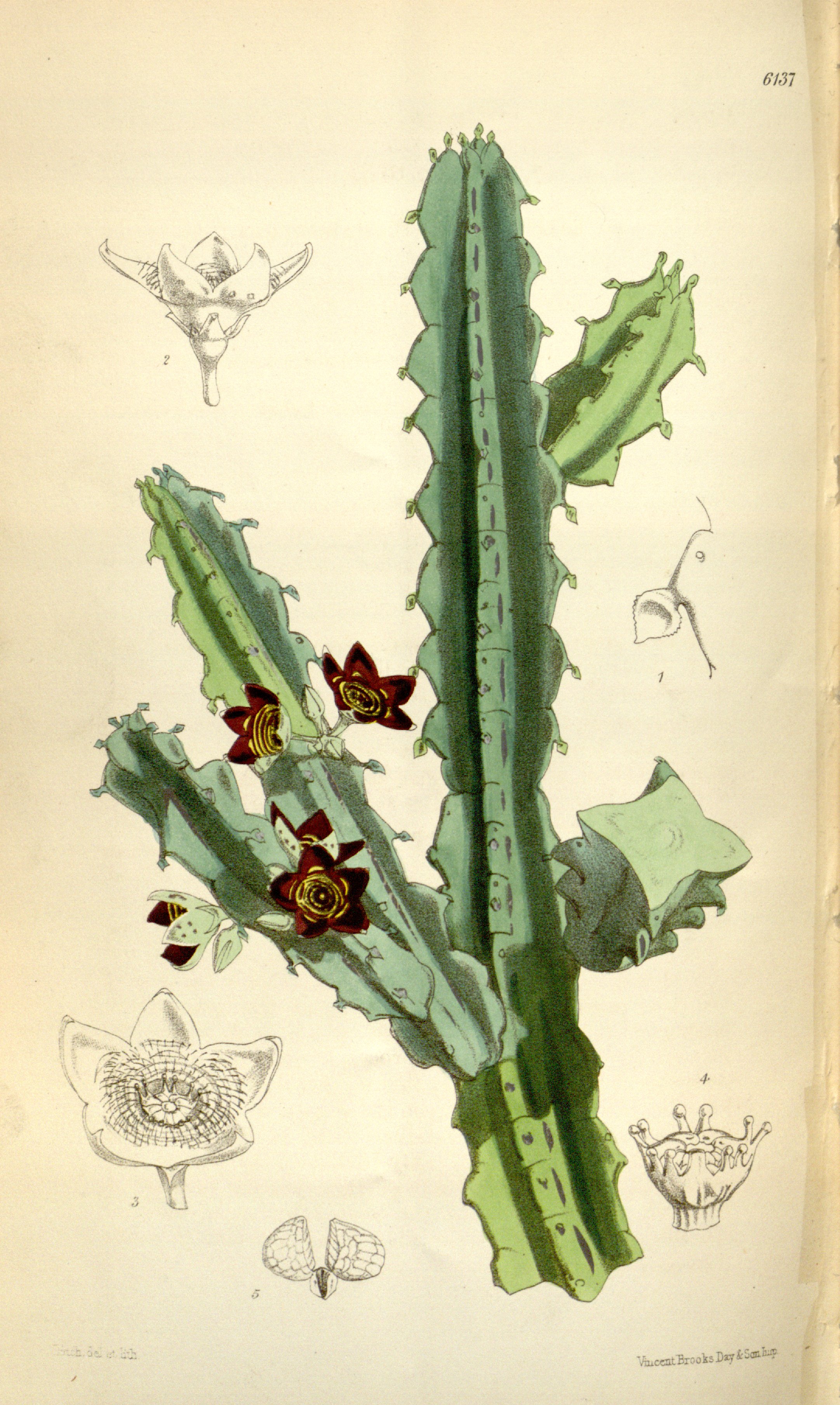 no full size  illustration available (3a)