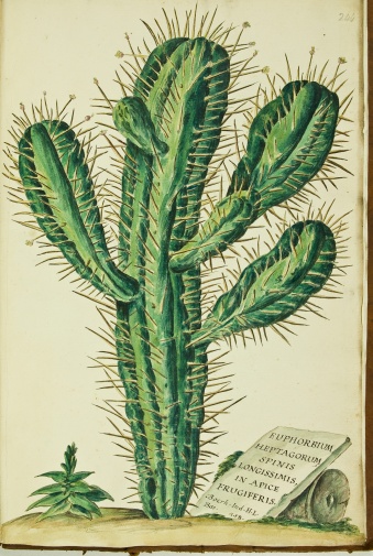 no full size  illustration available (3a)