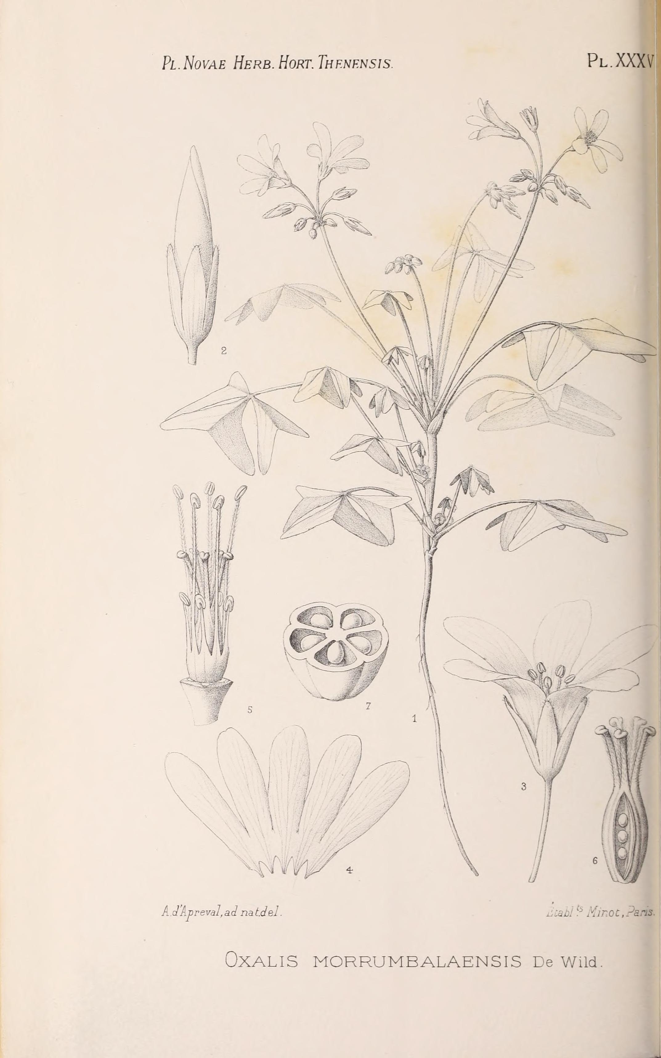 no full size  illustration available (3a)