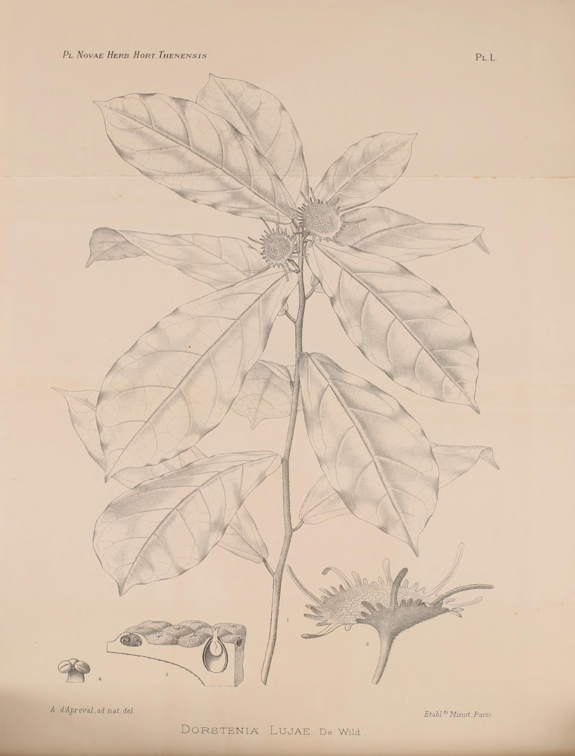 no full size  illustration available (3a)