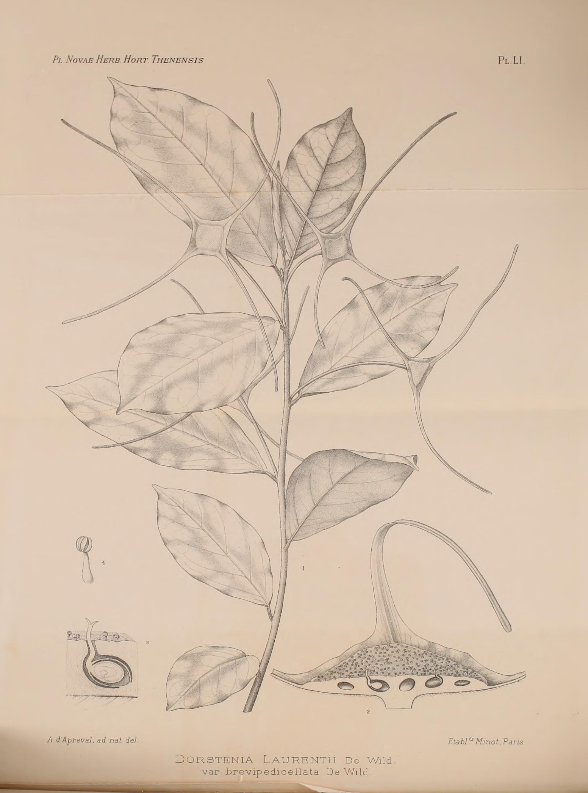 no full size  illustration available (3a)