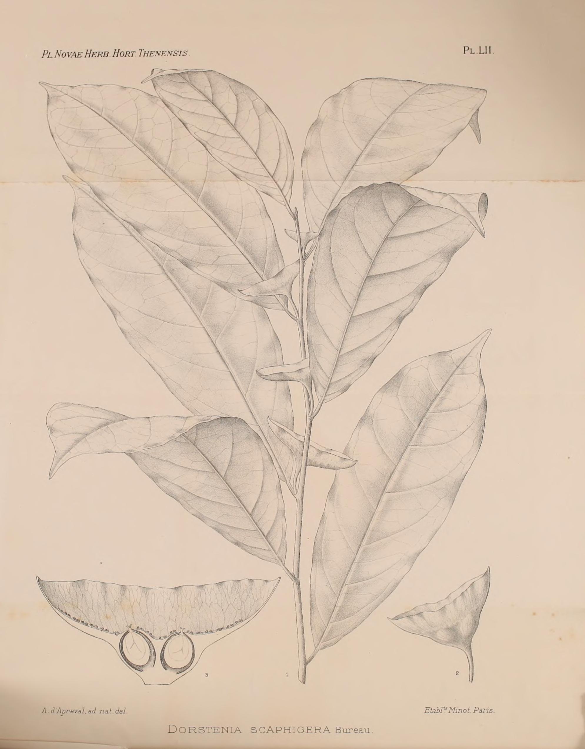 no full size  illustration available (3a)