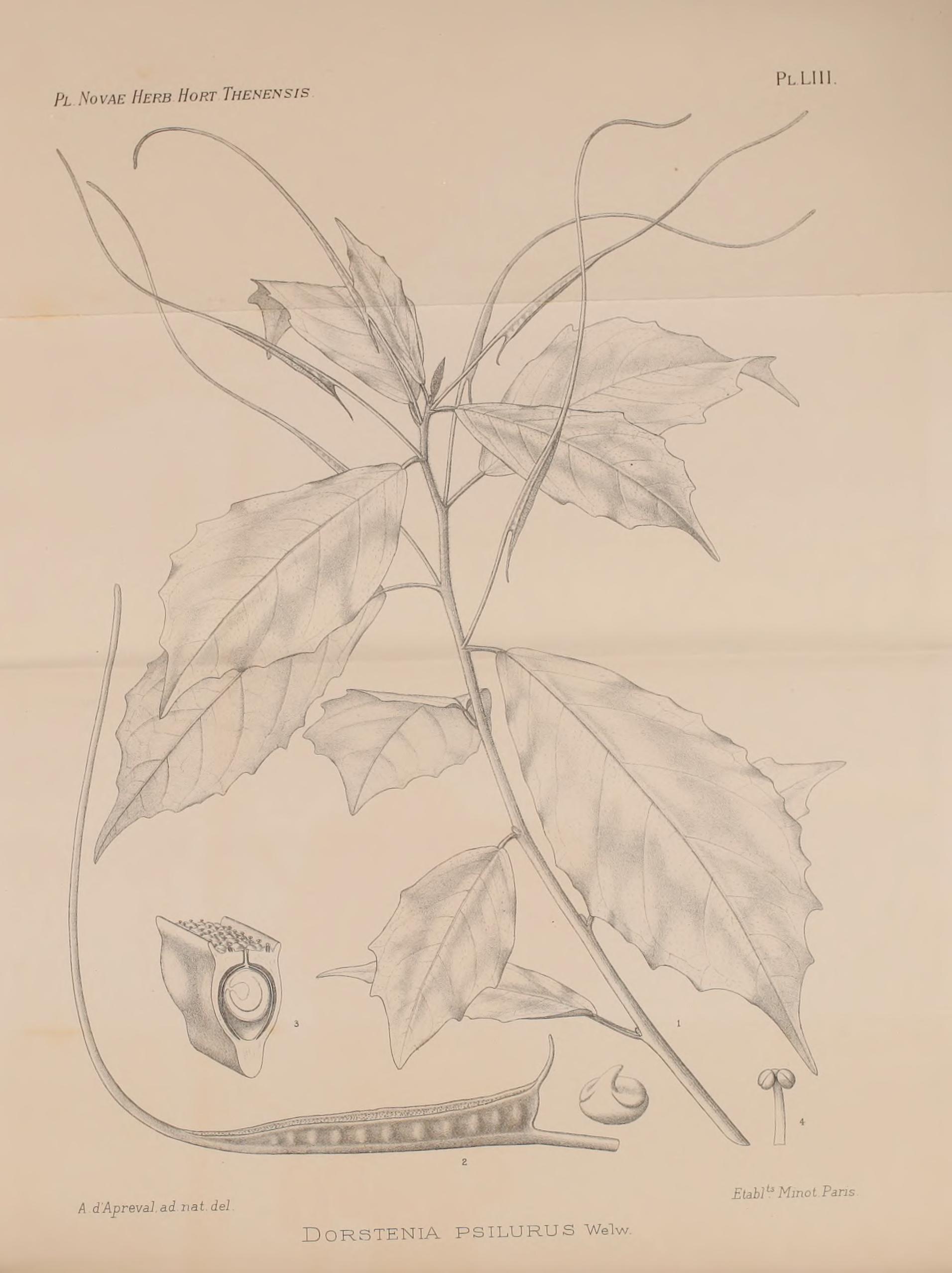 no full size  illustration available (3a)